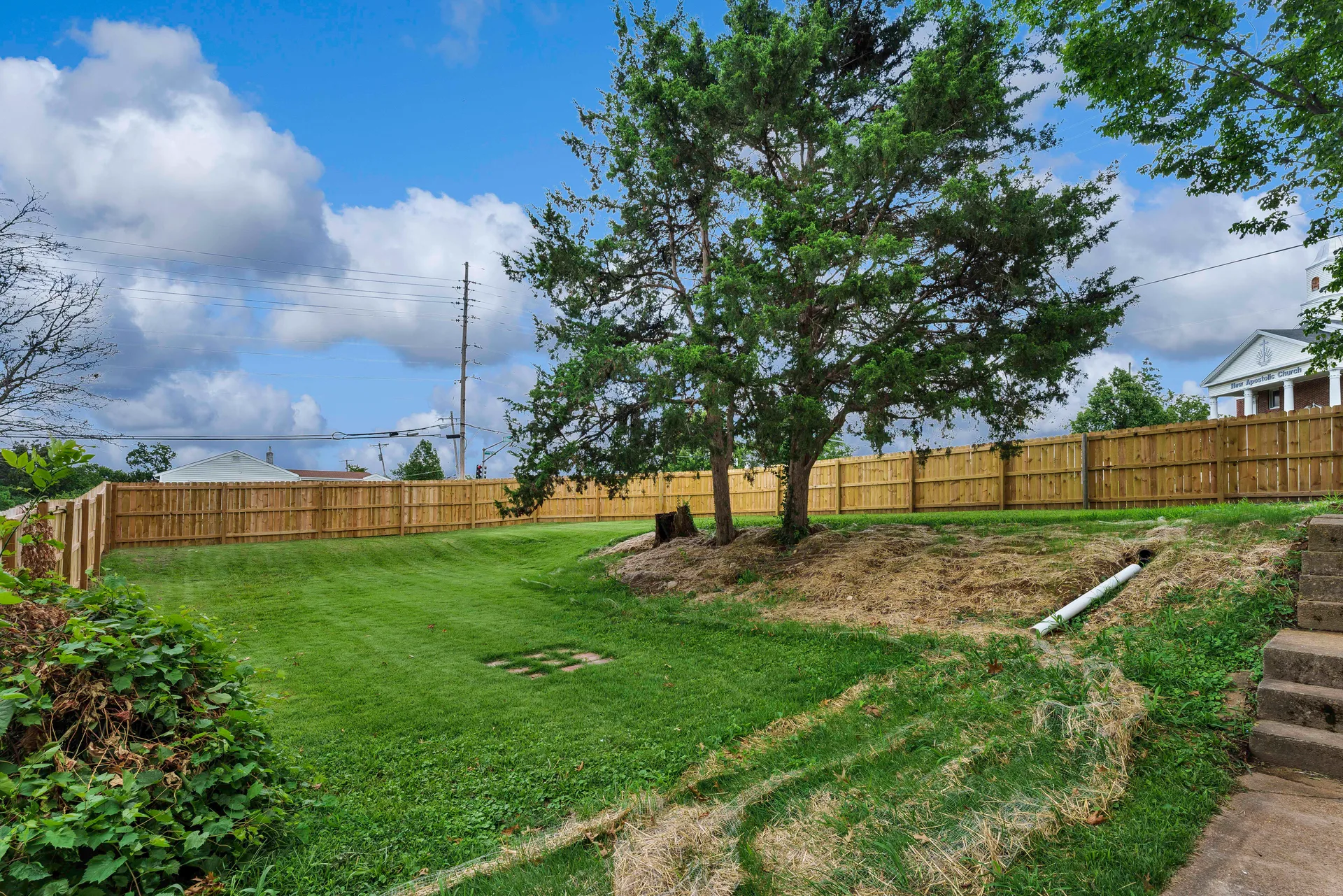 Large fenced backyard with mature tree