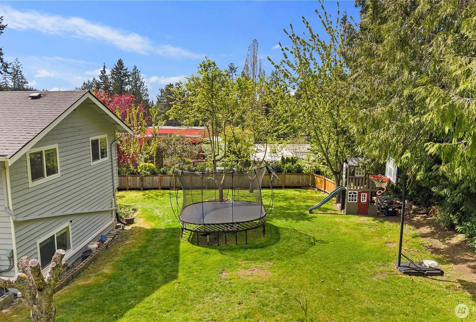 Fenced backyard lawn surrounded by mature evergreen and deciduous trees