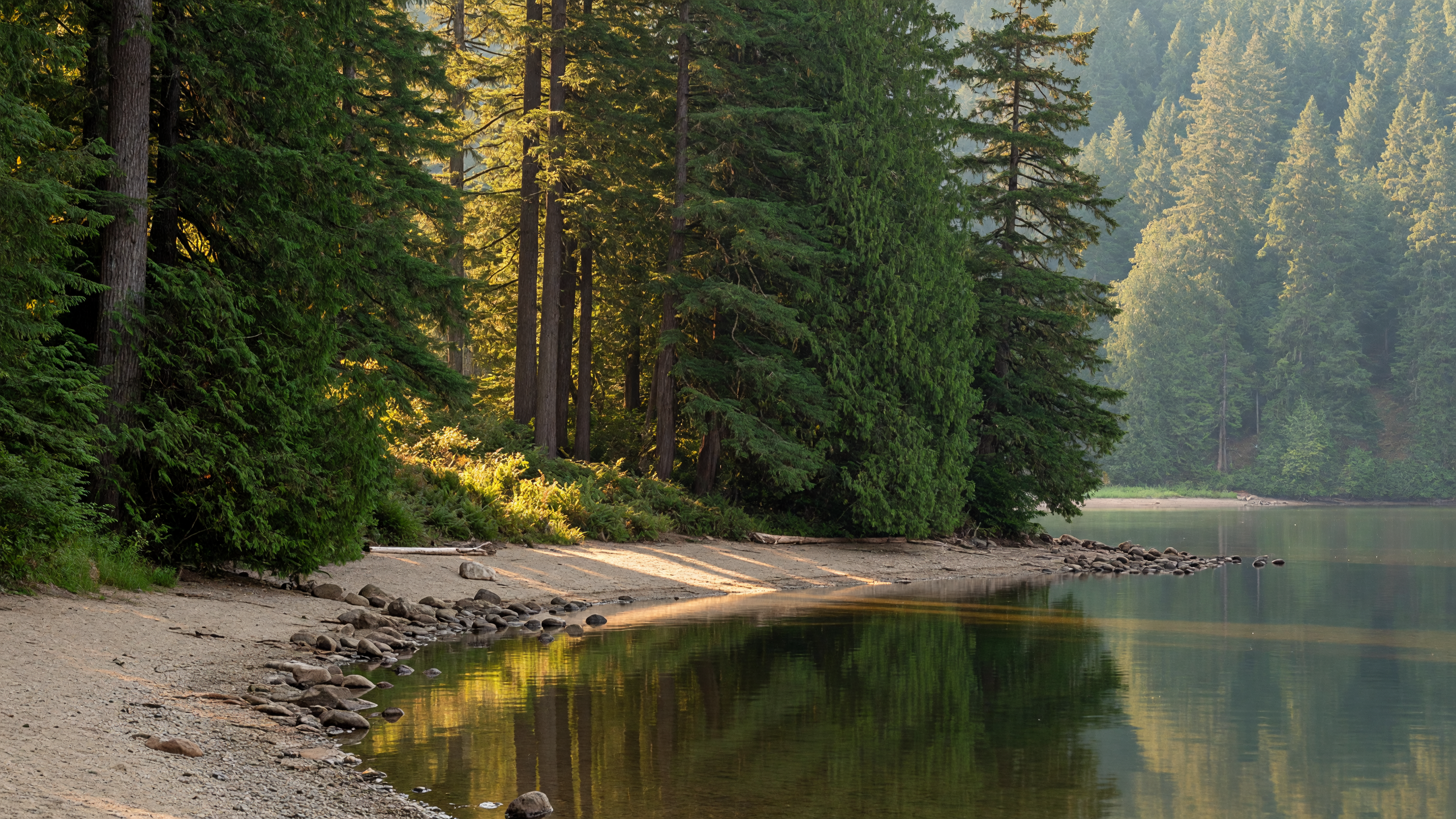 Thetis Lake freshwater beach surrounded by forest in View Royal