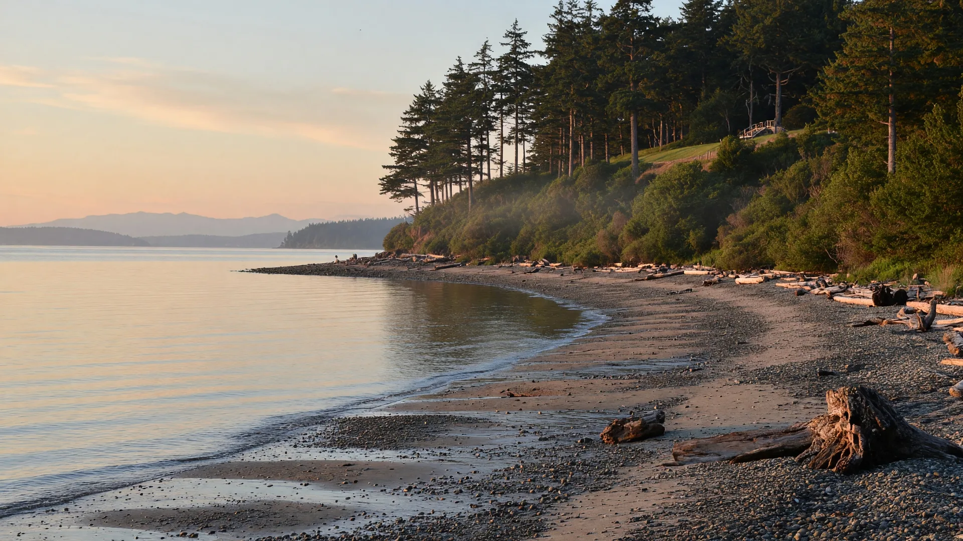Parker Beach (Parker Park), Victoria BC, Dog-Friendly Beach Guide