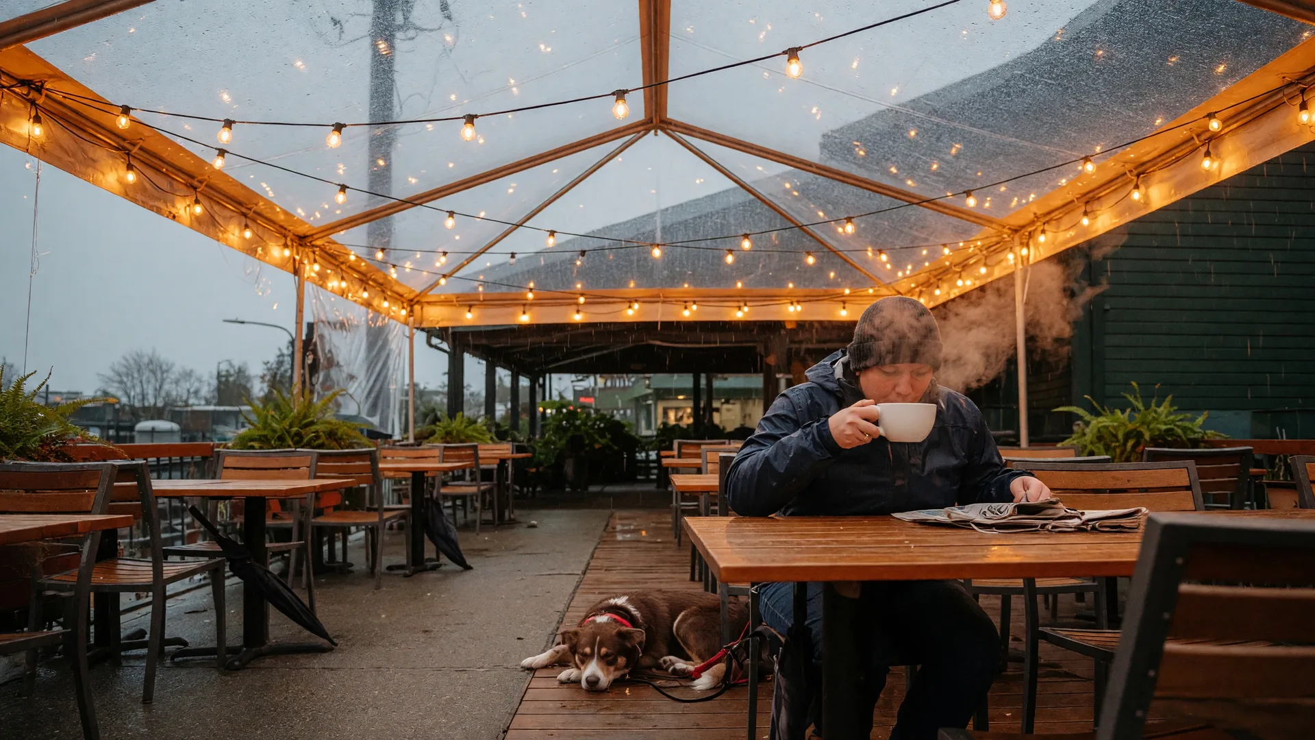 Which Victoria Patios Have Covered or Heated Seating for Dogs?