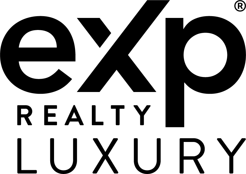 matte background