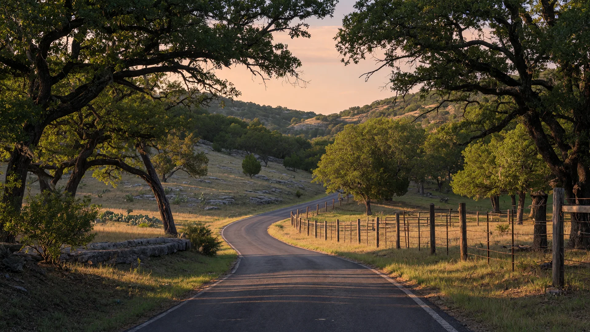 A quiet rural road winding through live oak trees in the Sisterdale Valley, Texas, during golden hour