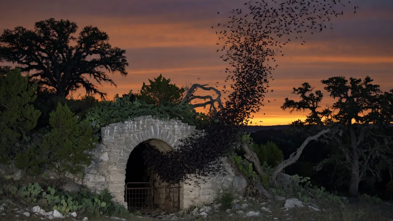 Old Tunnel State Park entrance along a rural Hill Country road with live oaks and limestone terrain