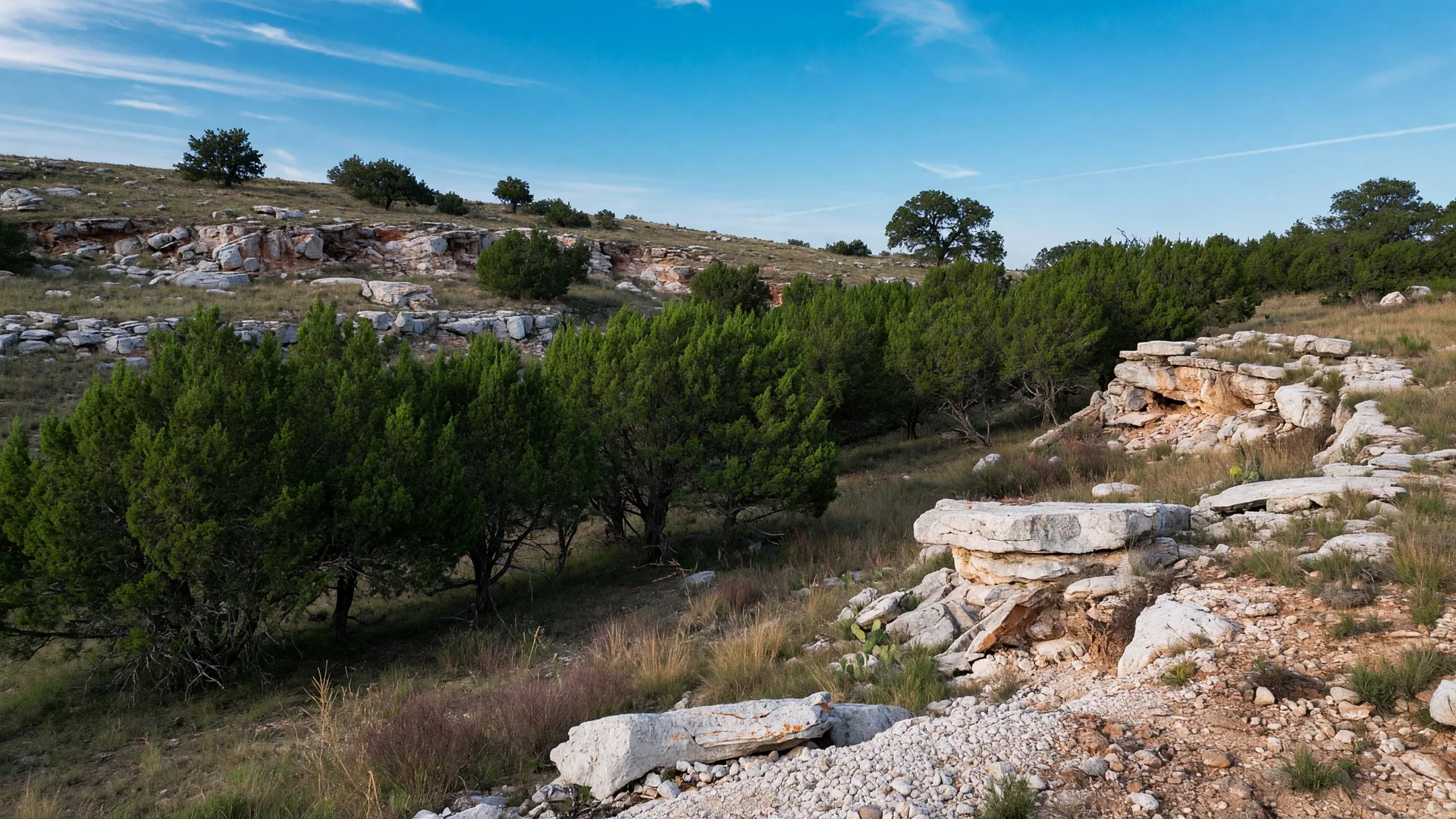 Raw Texas Hill Country acreage under a clear blue sky showing limestone outcroppings, caliche-white rock, and dense stands of Ashe juniper cedar trees on rolling terrain in Kendall County
