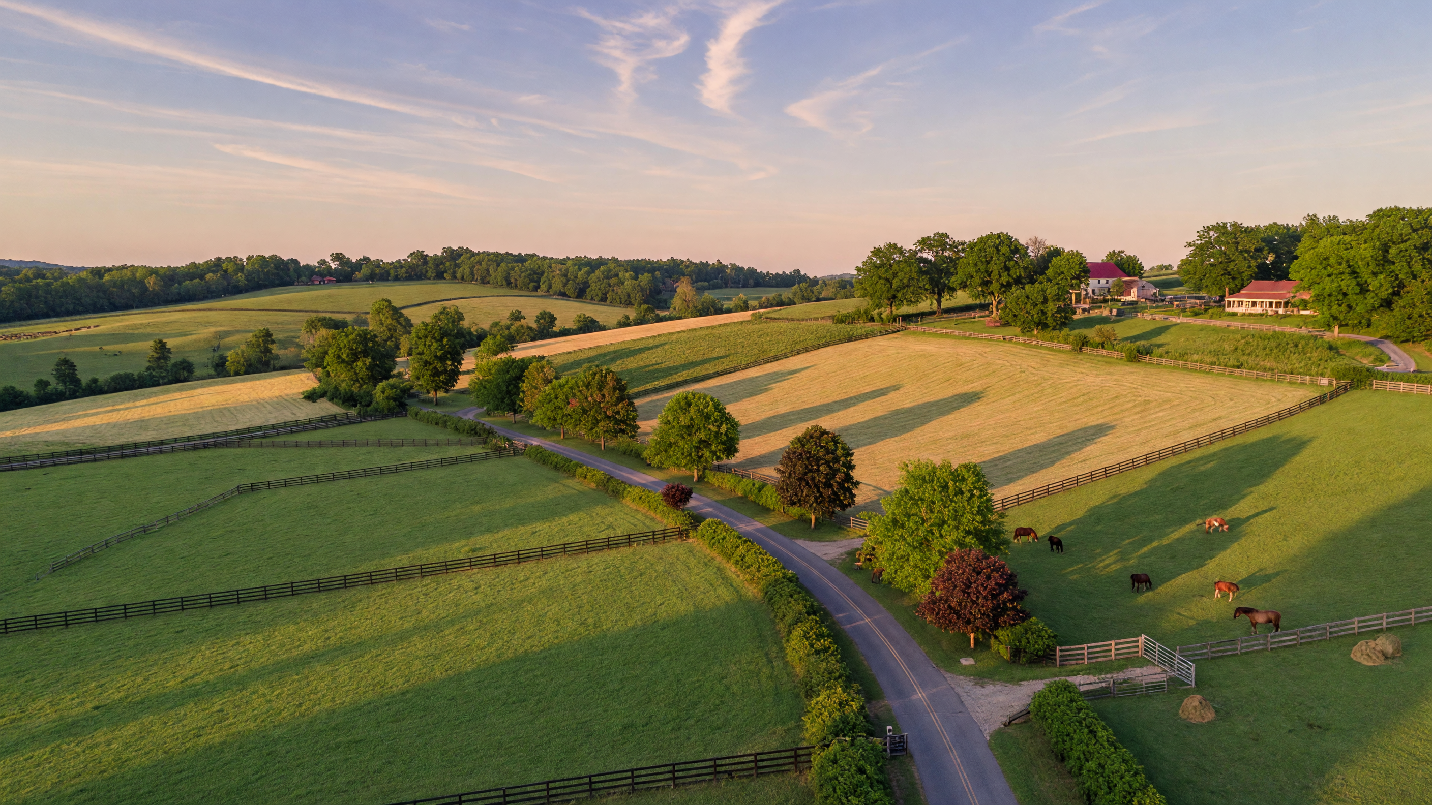 Rolling green Virginia countryside with open acreage and tree-lined property boundaries