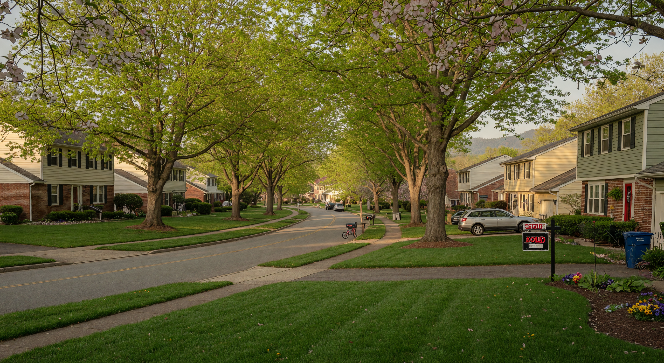 Suburban Virginia neighborhood with tree-lined streets and well-maintained homes
