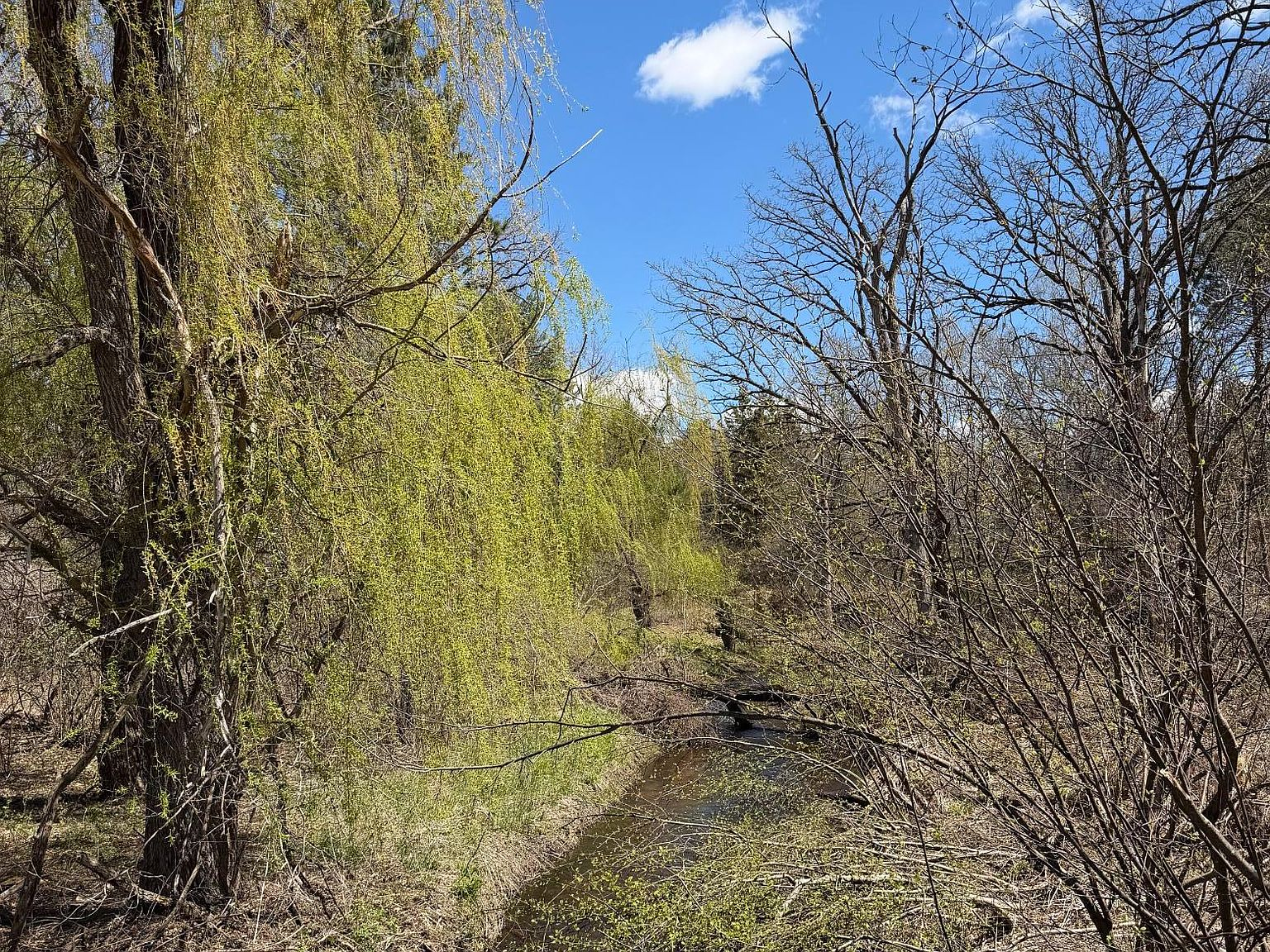 Potato Creek trout stream bordering the property