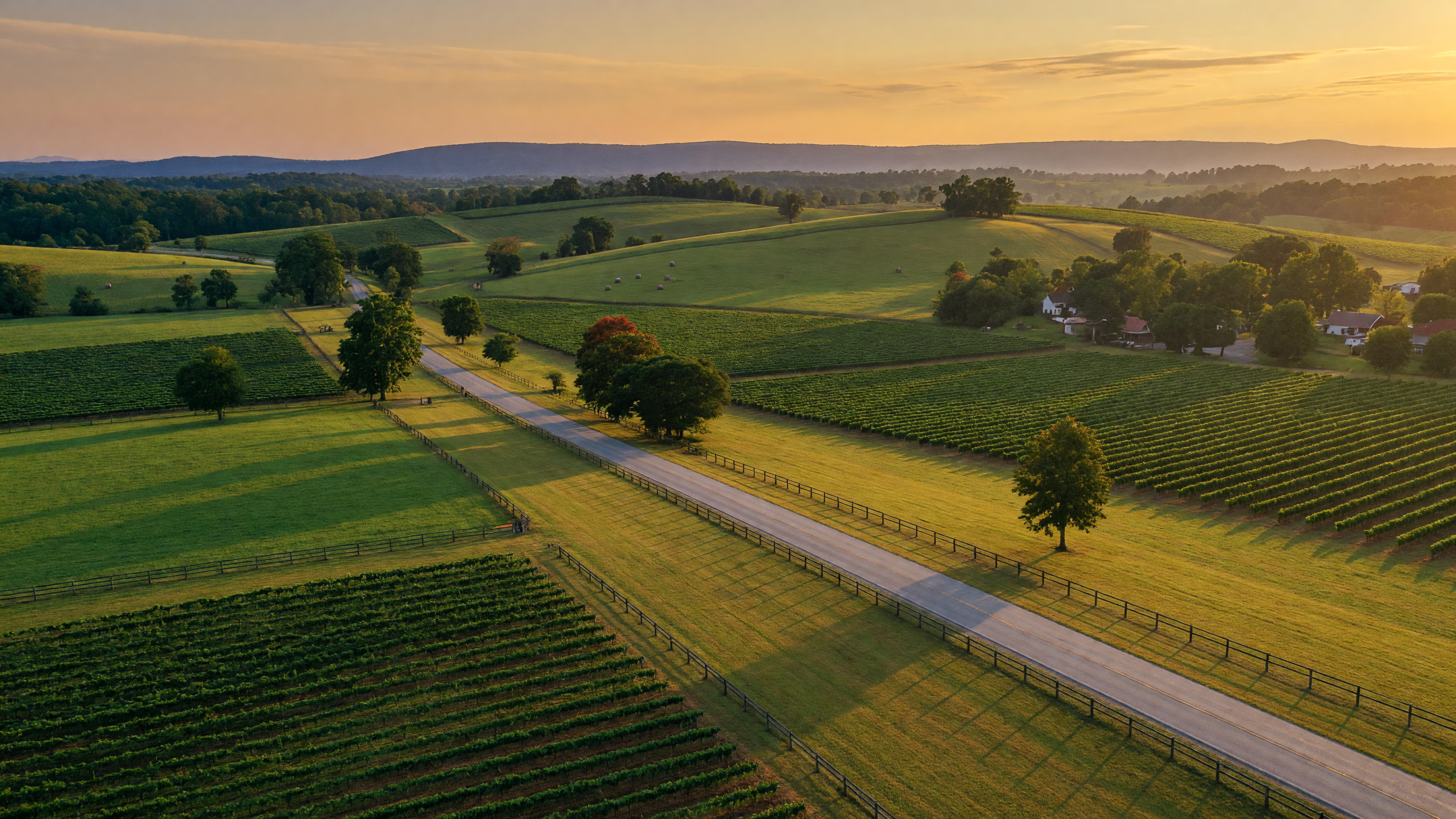 Rolling green farmland and vineyard rows in New Kent County, Virginia at golden hour