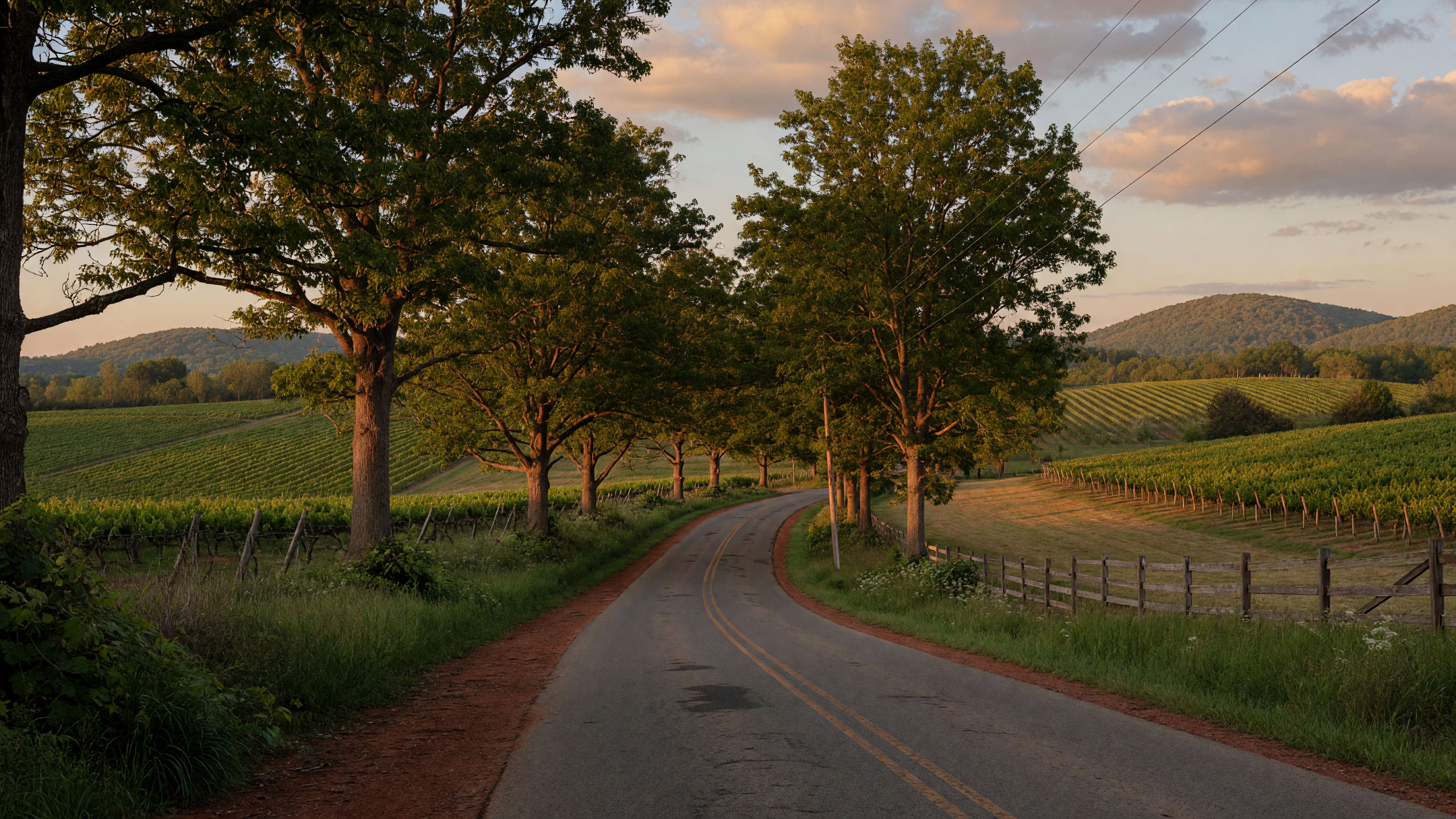 Peaceful rural countryside road winding through lush green hills and mature hardwood trees in Lanexa, Virginia