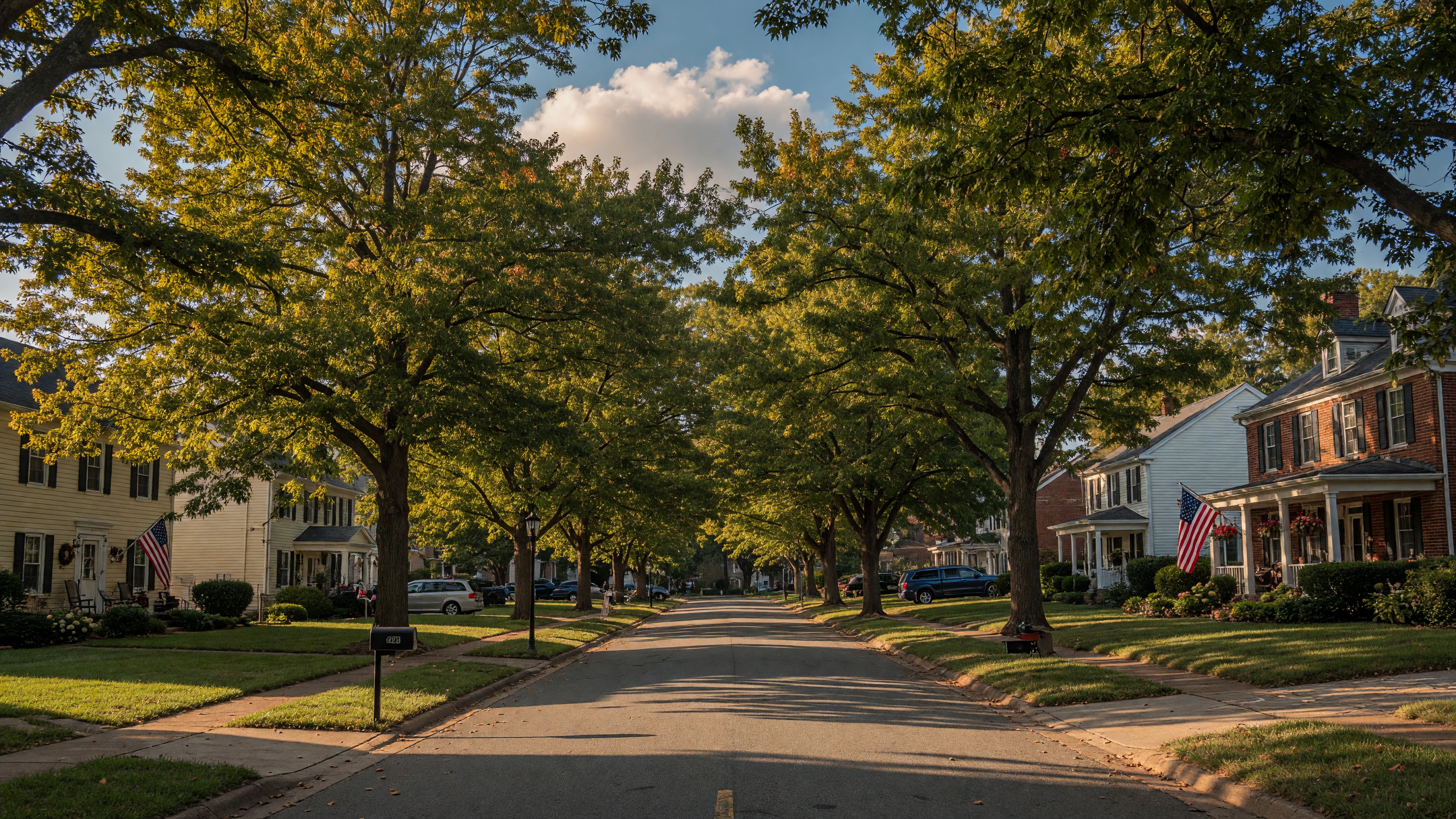 Austin Ridge established neighborhood in Stafford Virginia — mature trees, well-maintained homes, and tree-lined residential streets