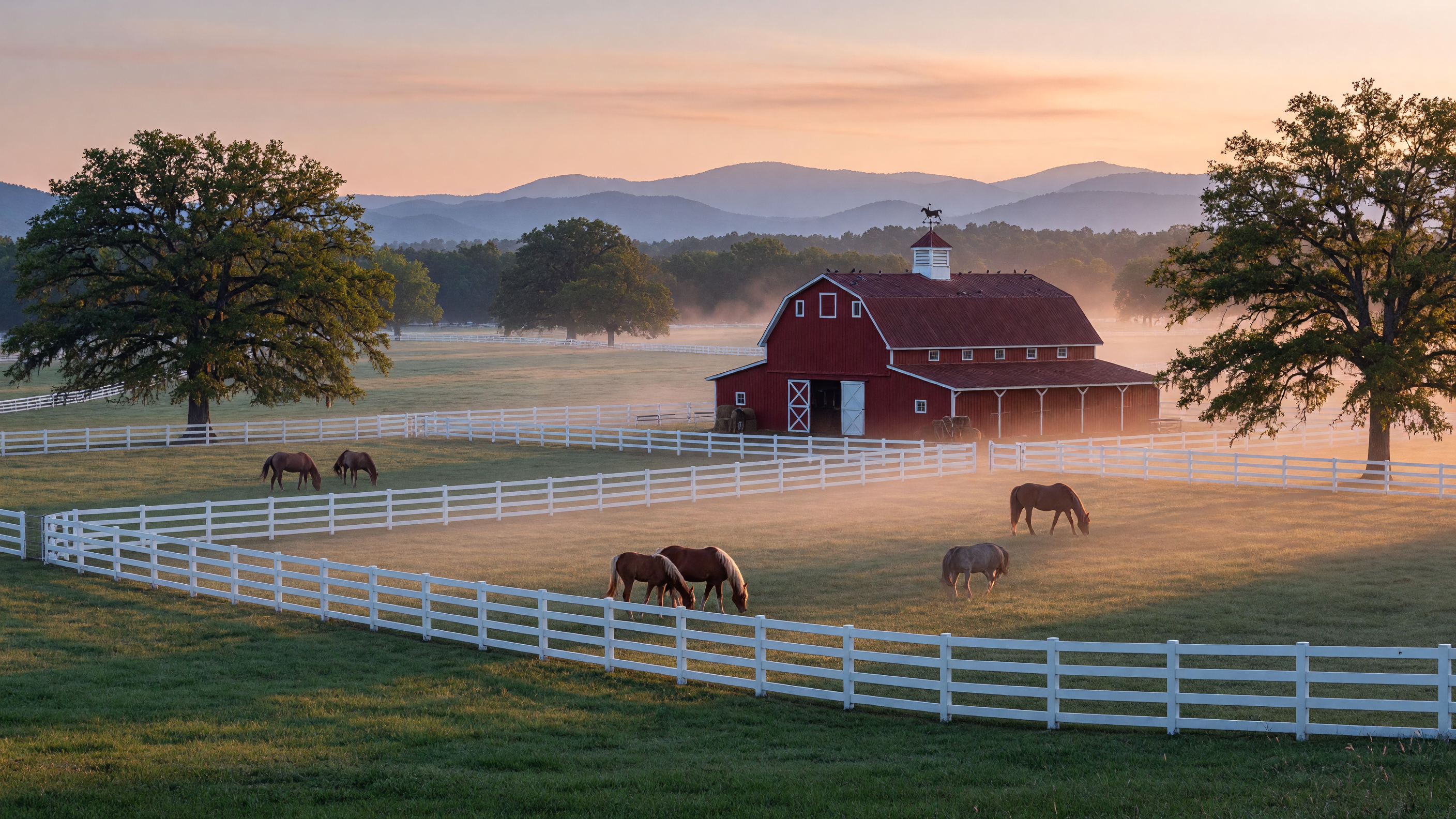 Virginia horse farm with white four-board fencing and rolling pastures at golden sunrise