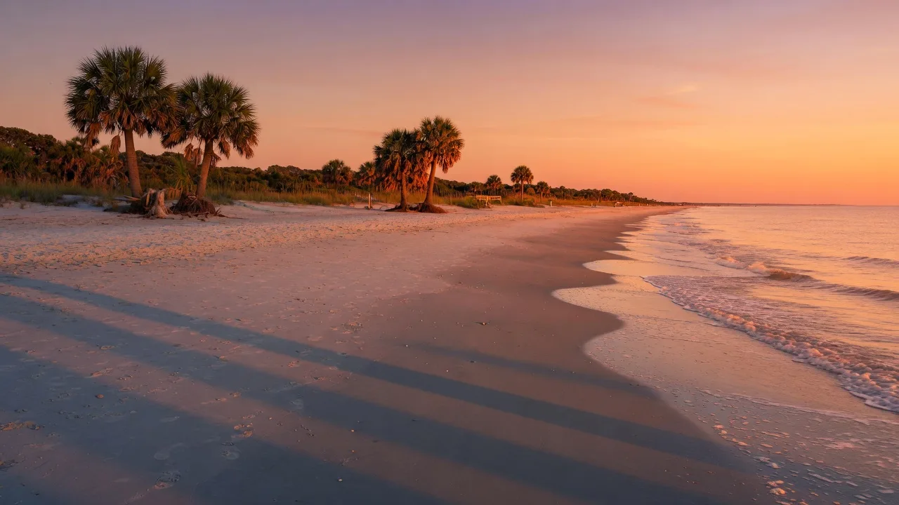 Hilton Head Island SC beach at golden hour with palmetto trees and wide sandy shoreline