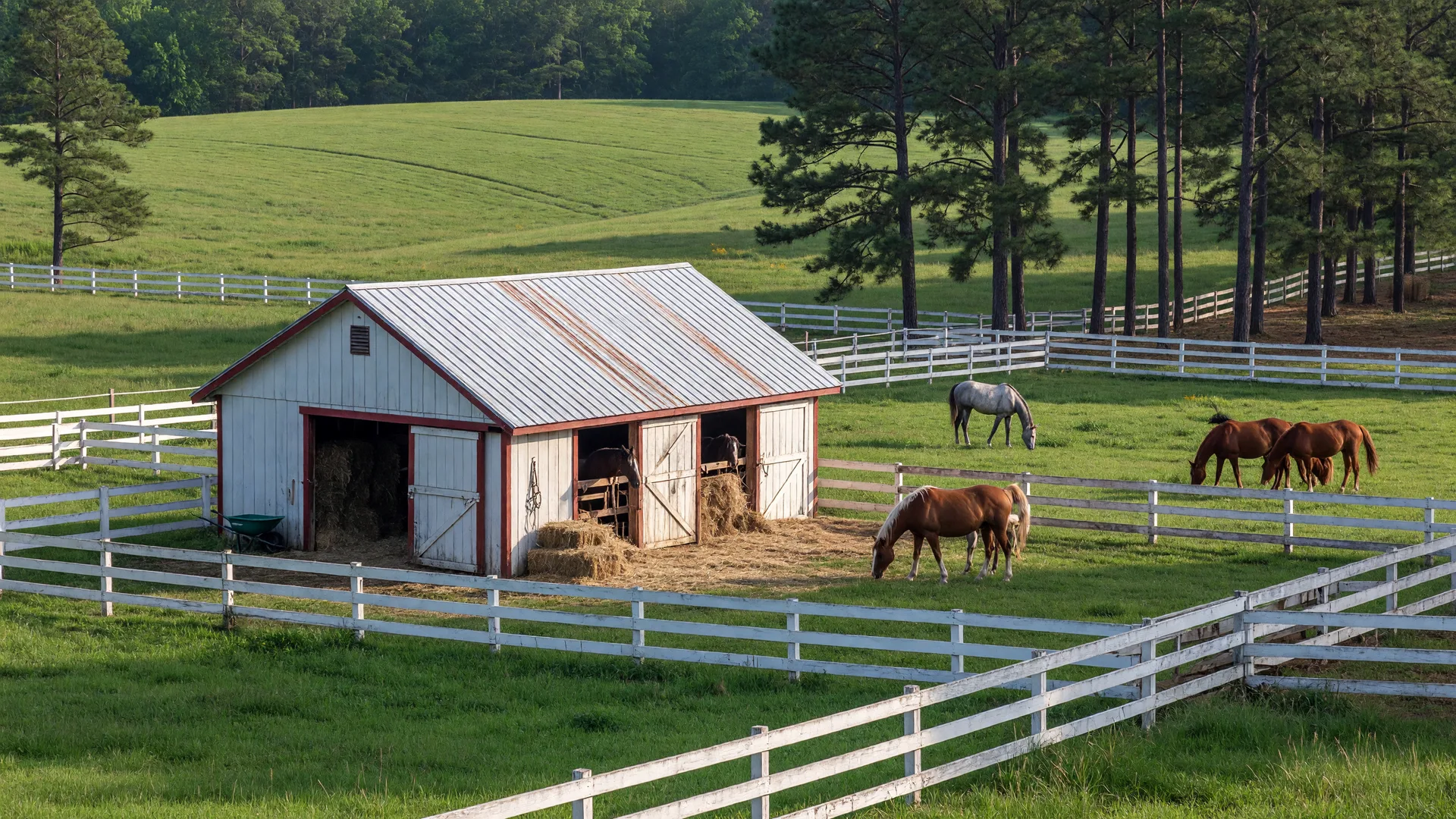 Green horse pasture with healthy grass on an Aiken SC property