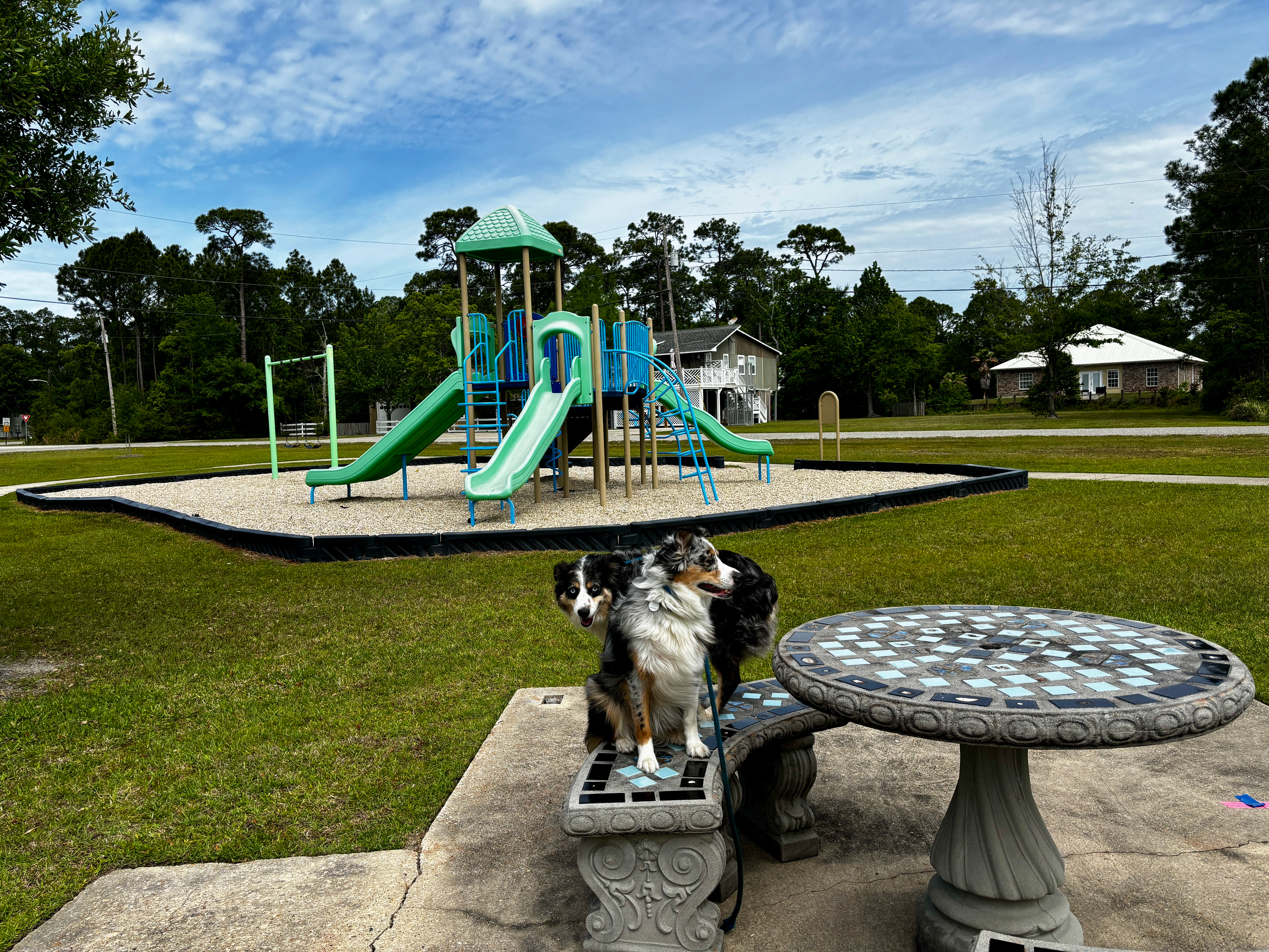 Timber Ridge community playground with play structures, green space, and outdoor seating
