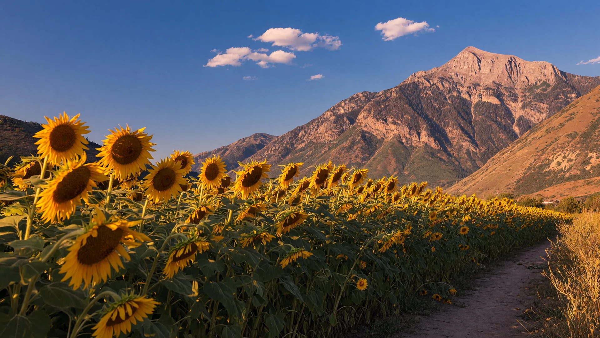Mid-to-Late August 2026 on the Wasatch Front: Snowbird Oktoberfest, Back-to-School & Summer's Golden Hour