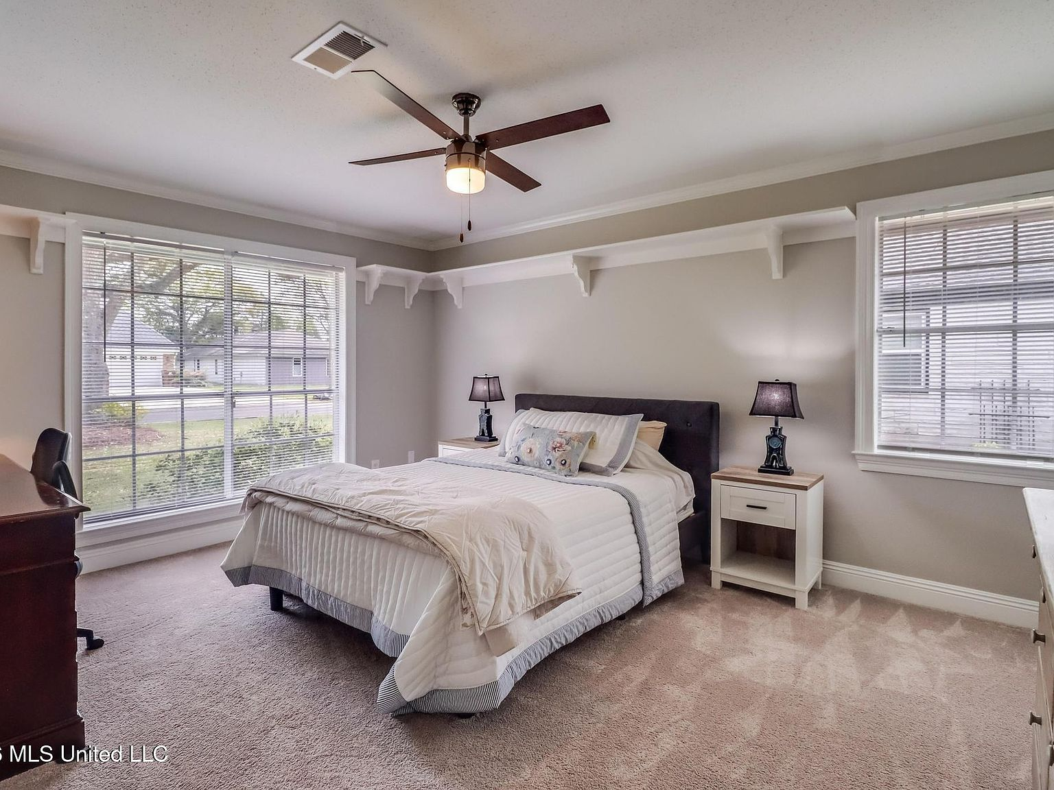 Master bedroom with carpet flooring and natural light from two windows