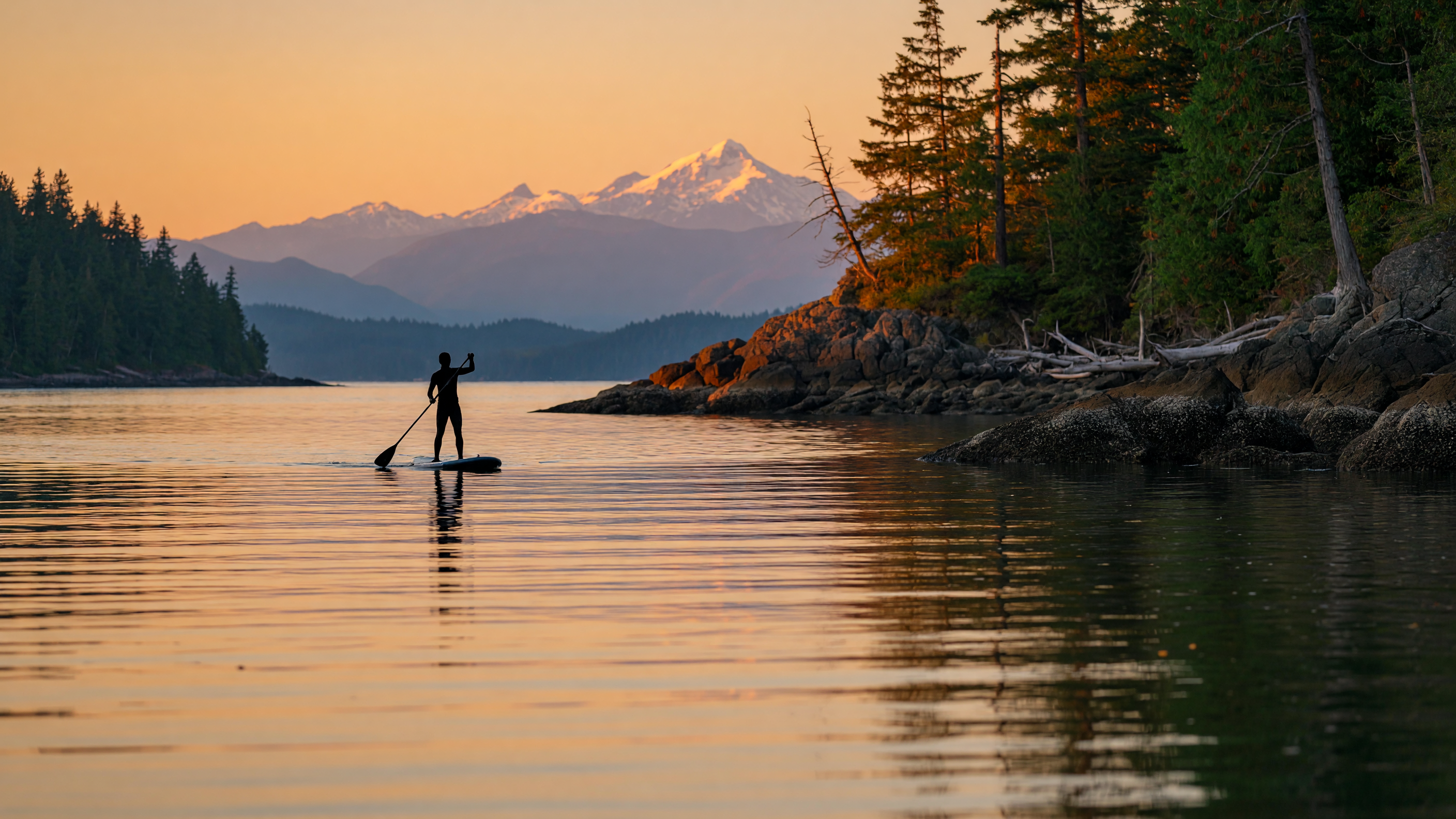 A stand-up paddleboarder gliding across calm golden-hour waters in a scenic Greater Victoria coastal bay with mountains in the background