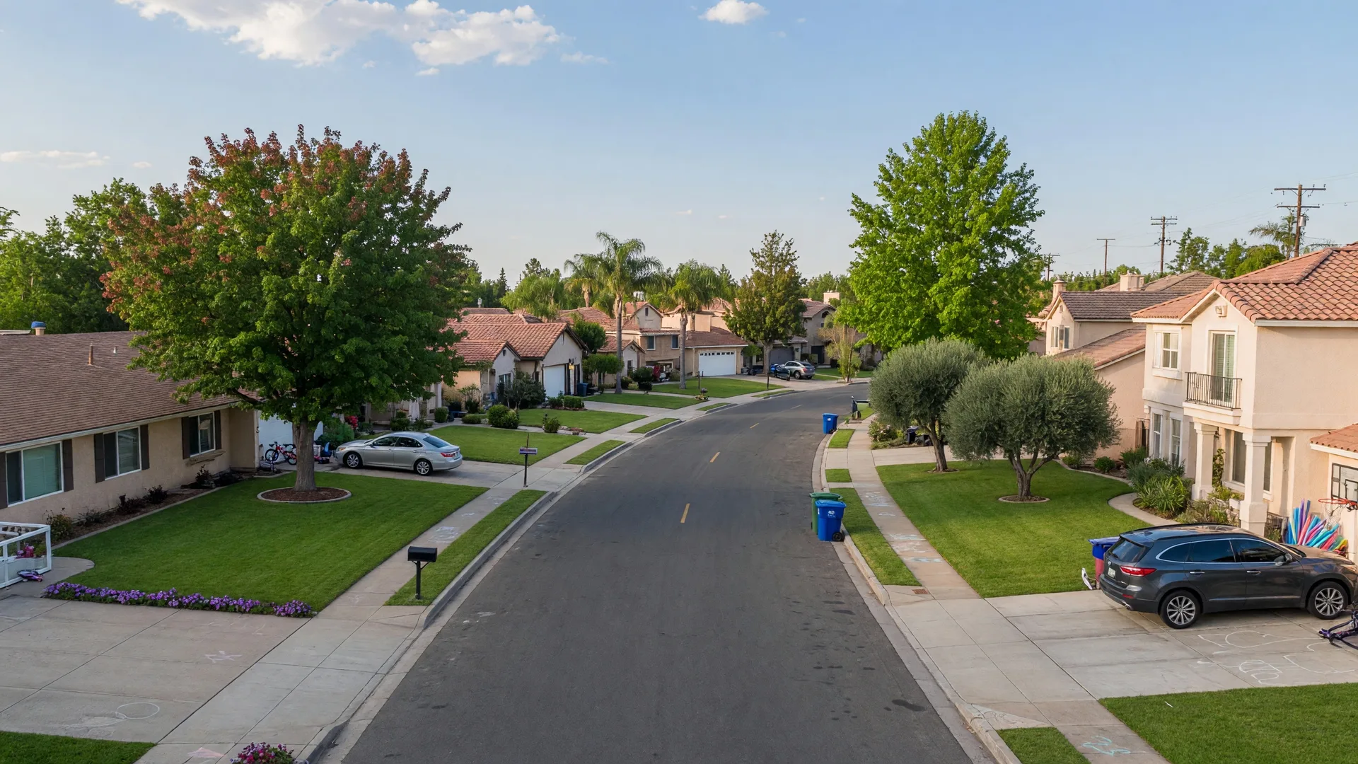 Tree-lined residential street in Turlock, California