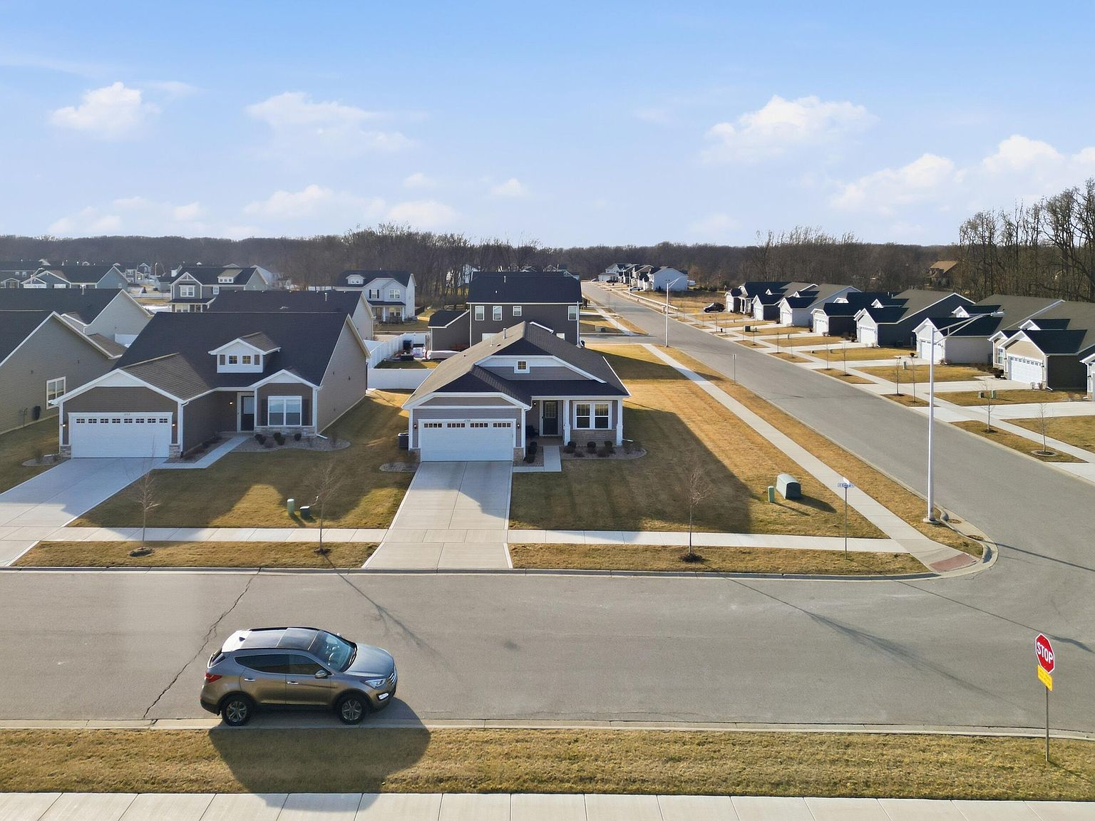 Aerial view of Birchwood Farms neighborhood