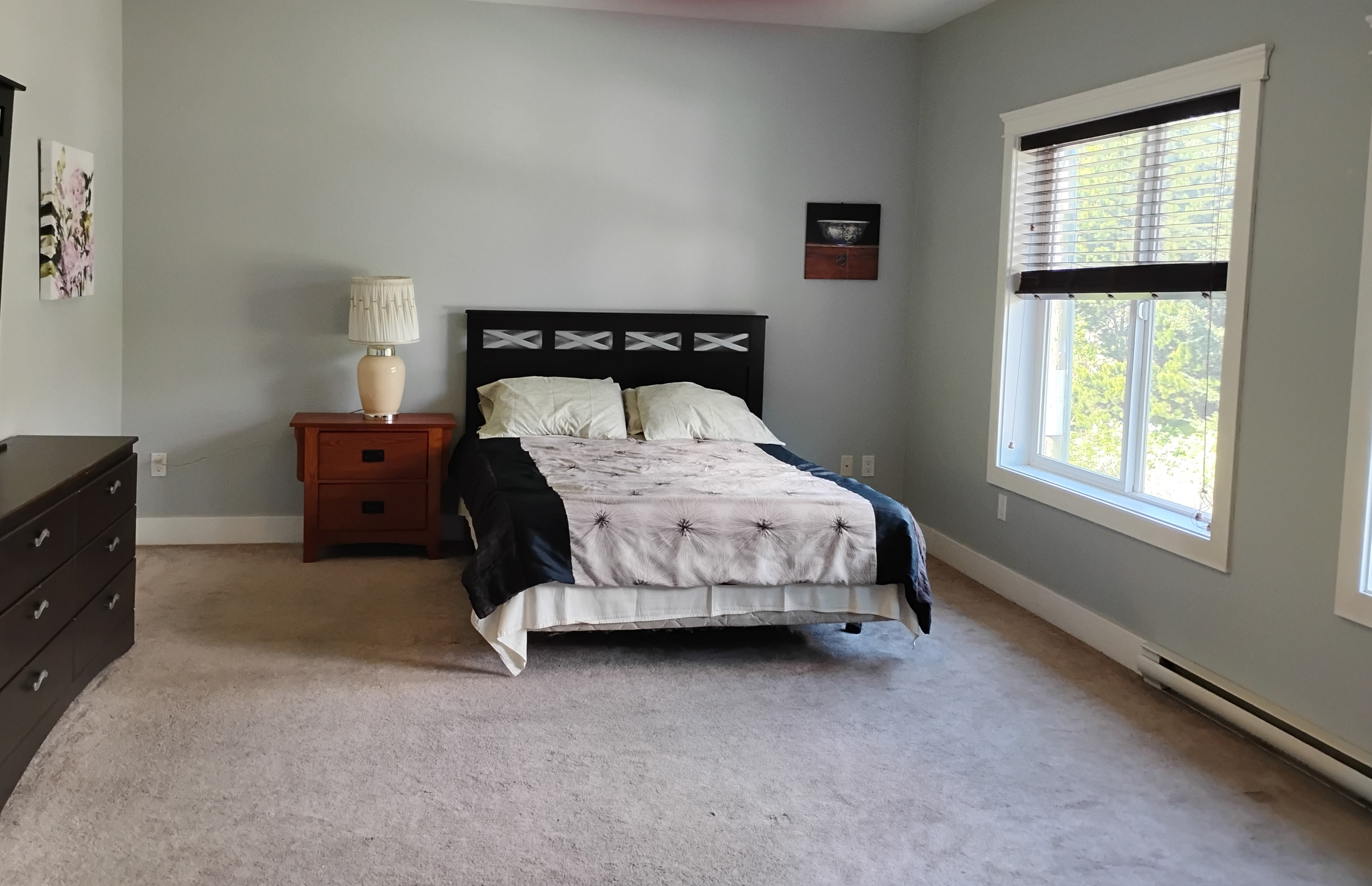 Primary bedroom suite with light-grey walls, beige carpeting, and large window