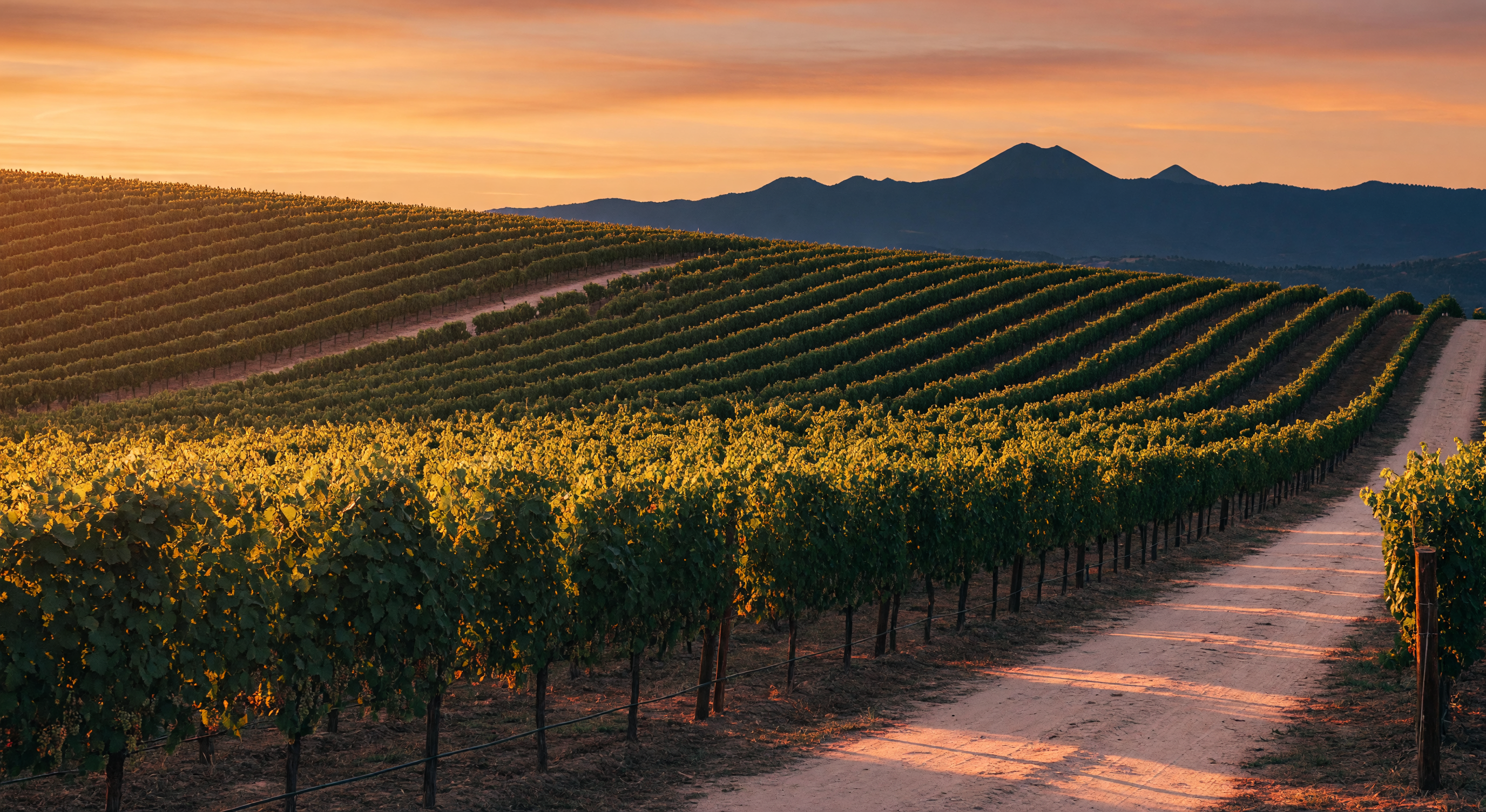 Rogue Valley Living: Discovering Southern Oregon's Unique Towns