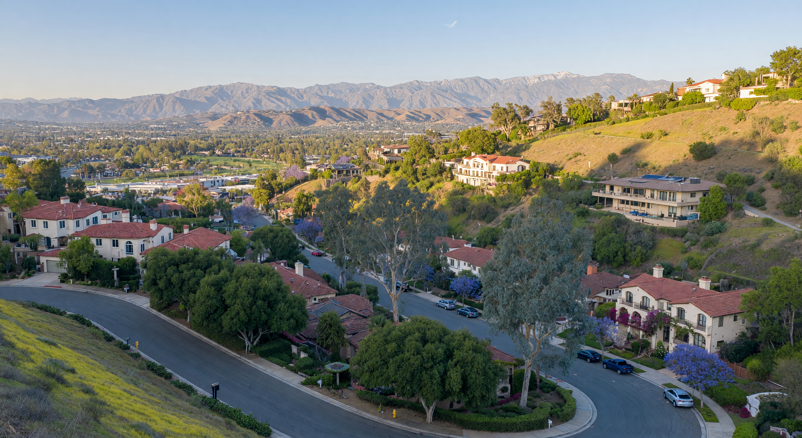 Panoramic morning view of Fullerton Hills hillside neighborhoods with winding roads, mature eucalyptus trees, and distant mountains