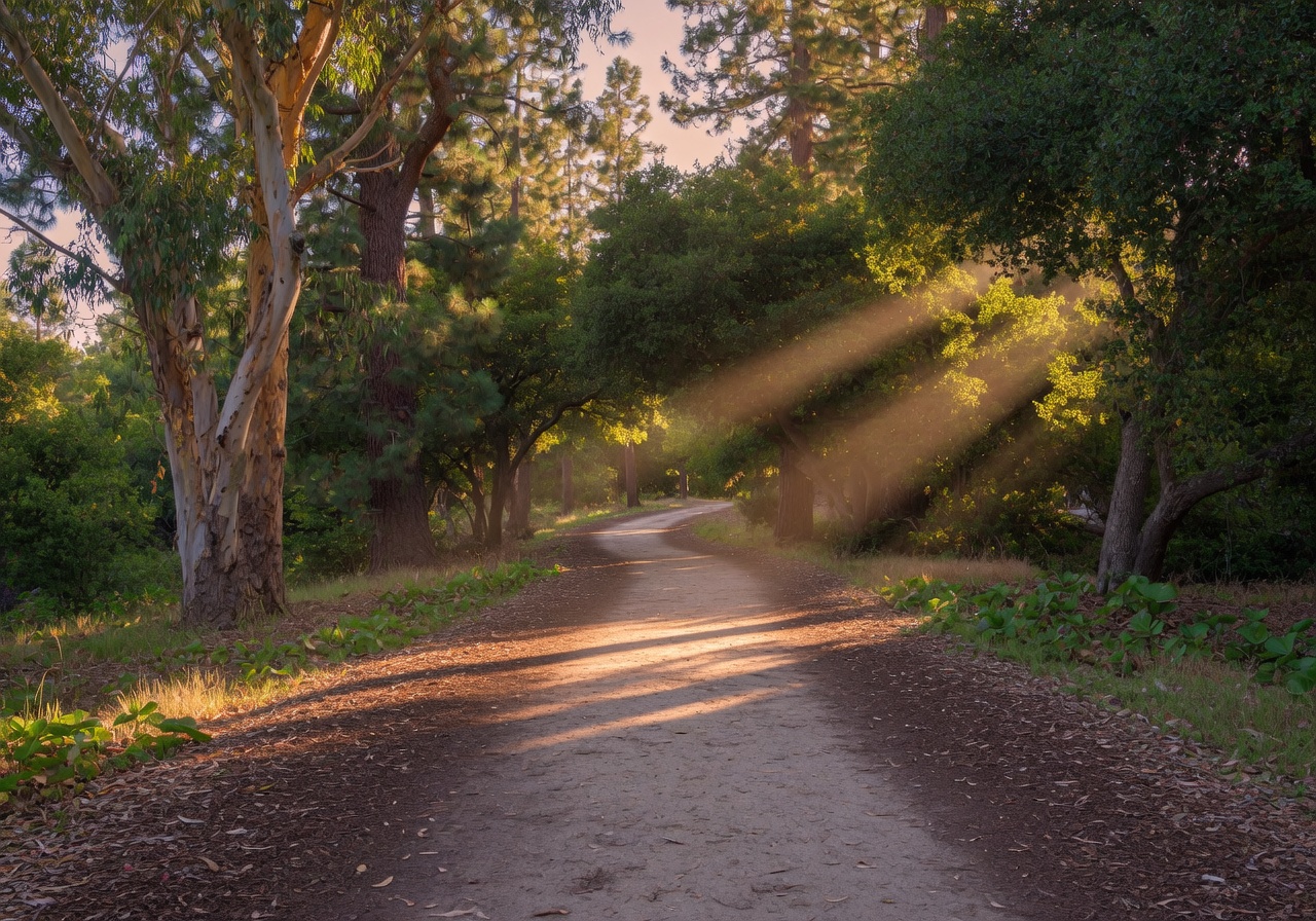 Juanita Cooke Trail