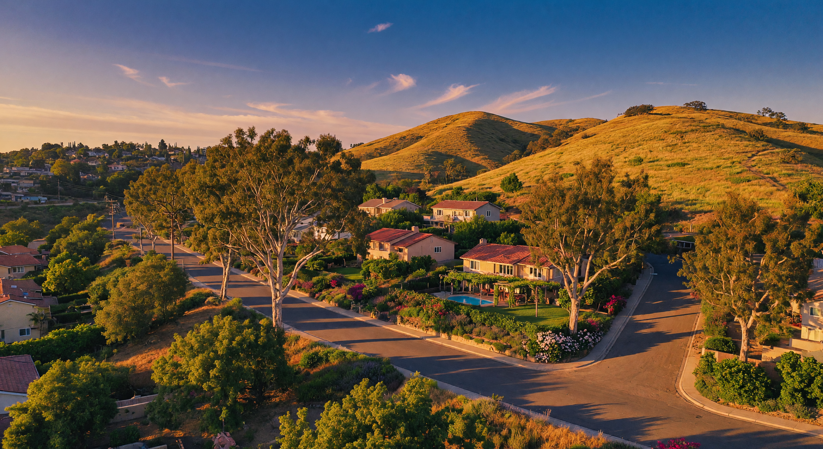 Golden afternoon light filtering through mature eucalyptus trees along a winding Fullerton Hills residential road on a warm summer day