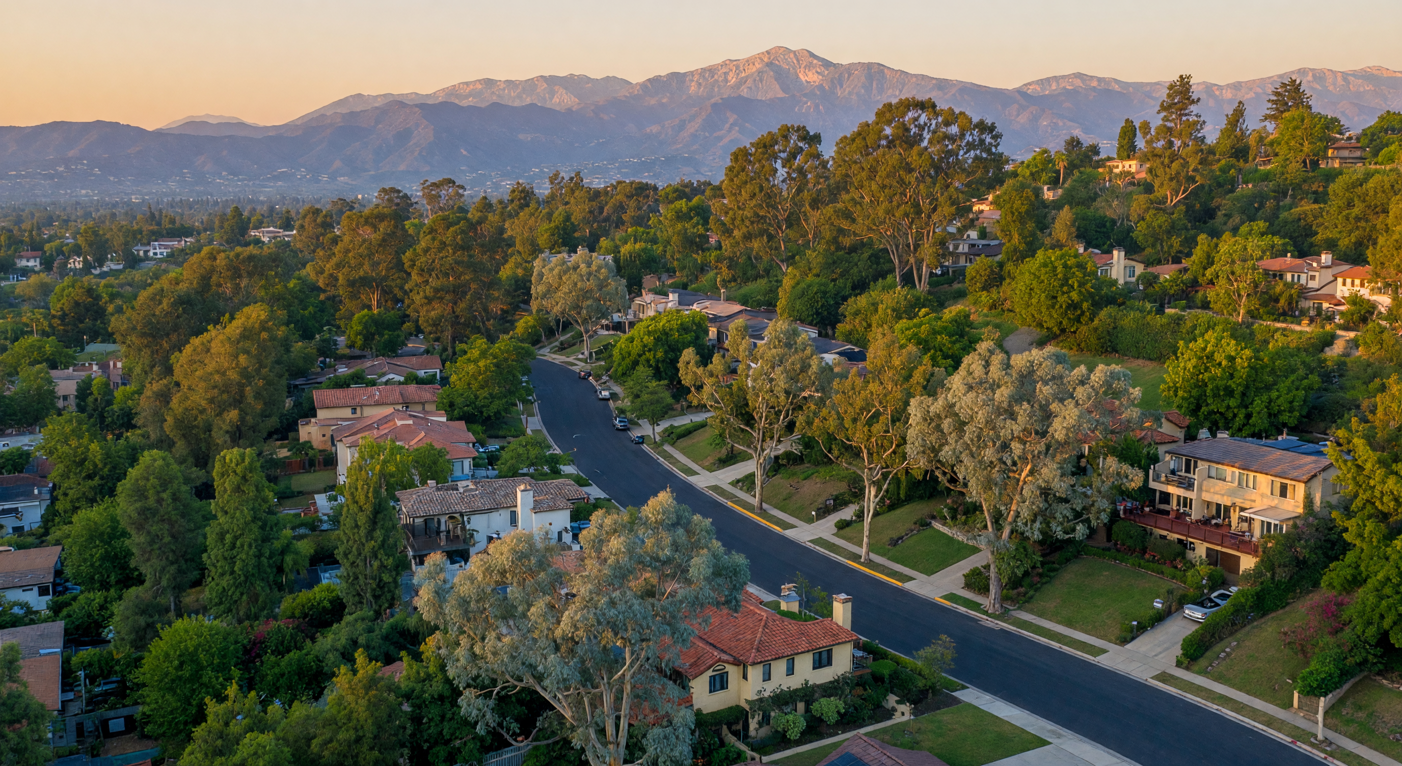 Tree-lined hillside streets of North Fullerton at golden hour with eucalyptus canopies and distant mountain views