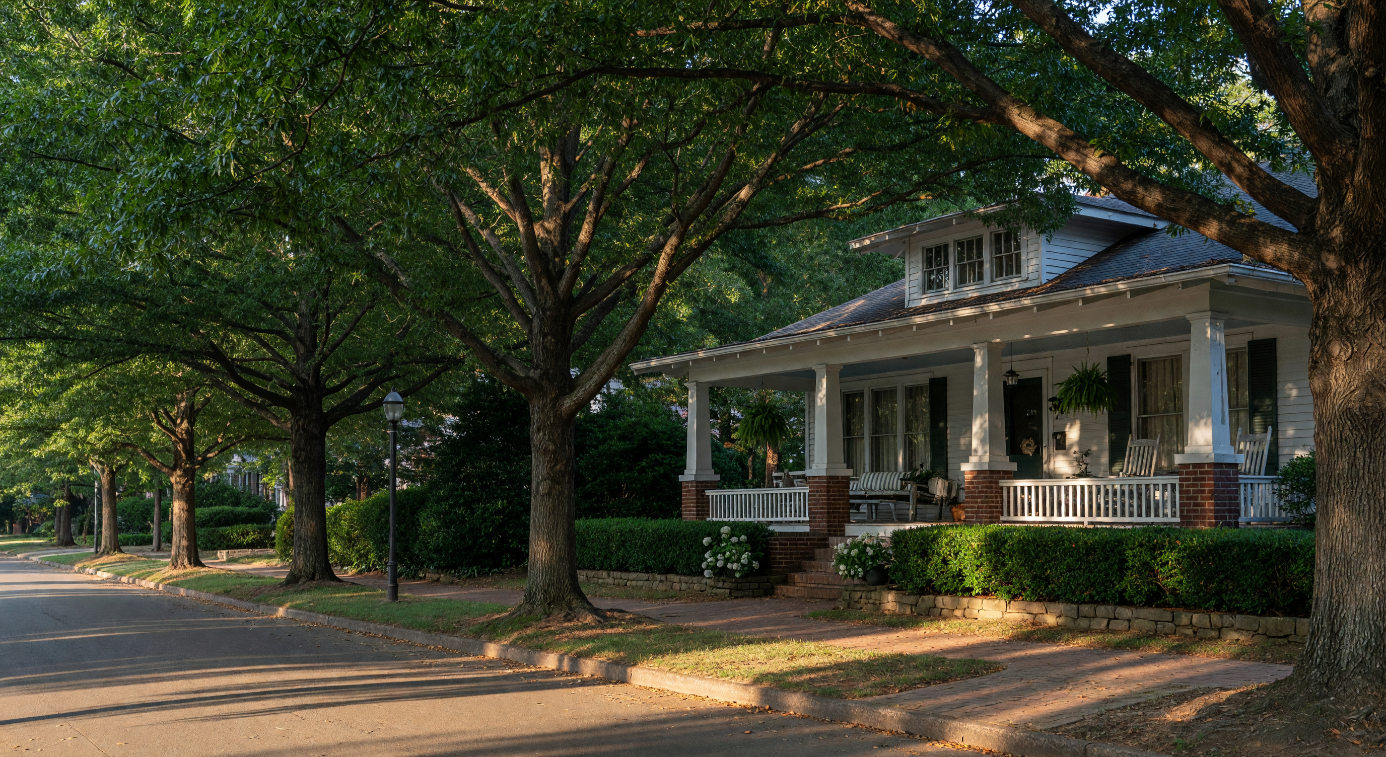 Lush street view in Dilworth neighborhood, Charlotte