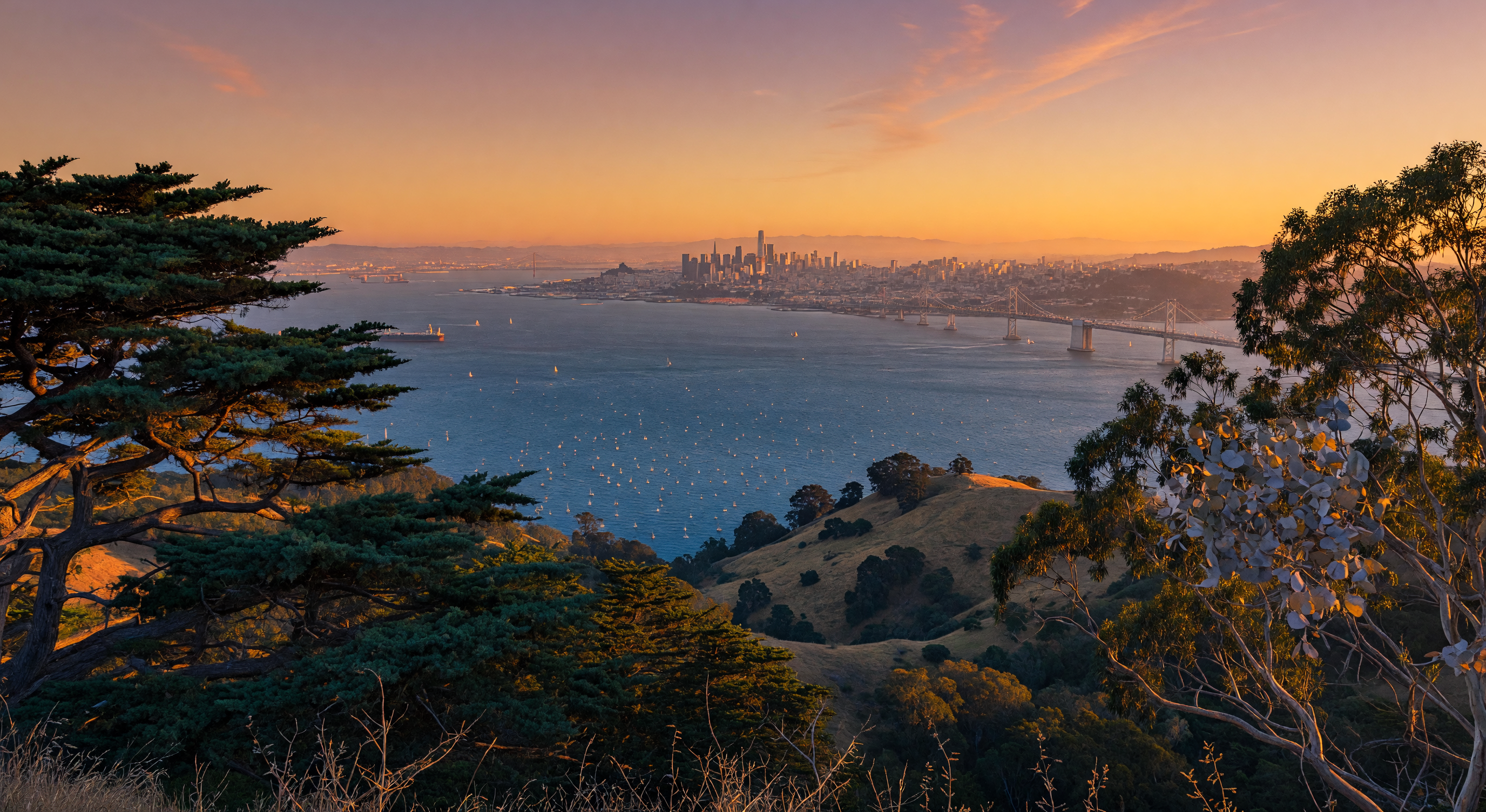 San Francisco Bay Area golden hour landscape