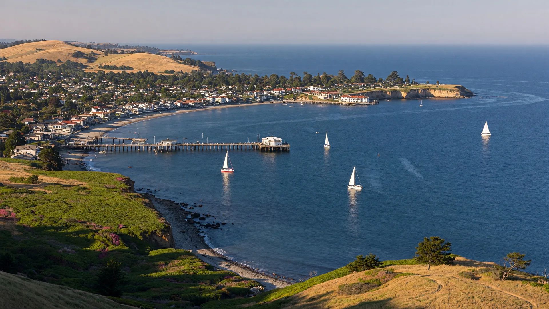 Aerial view of the Santa Cruz County coastline along Monterey Bay on a clear summer morning