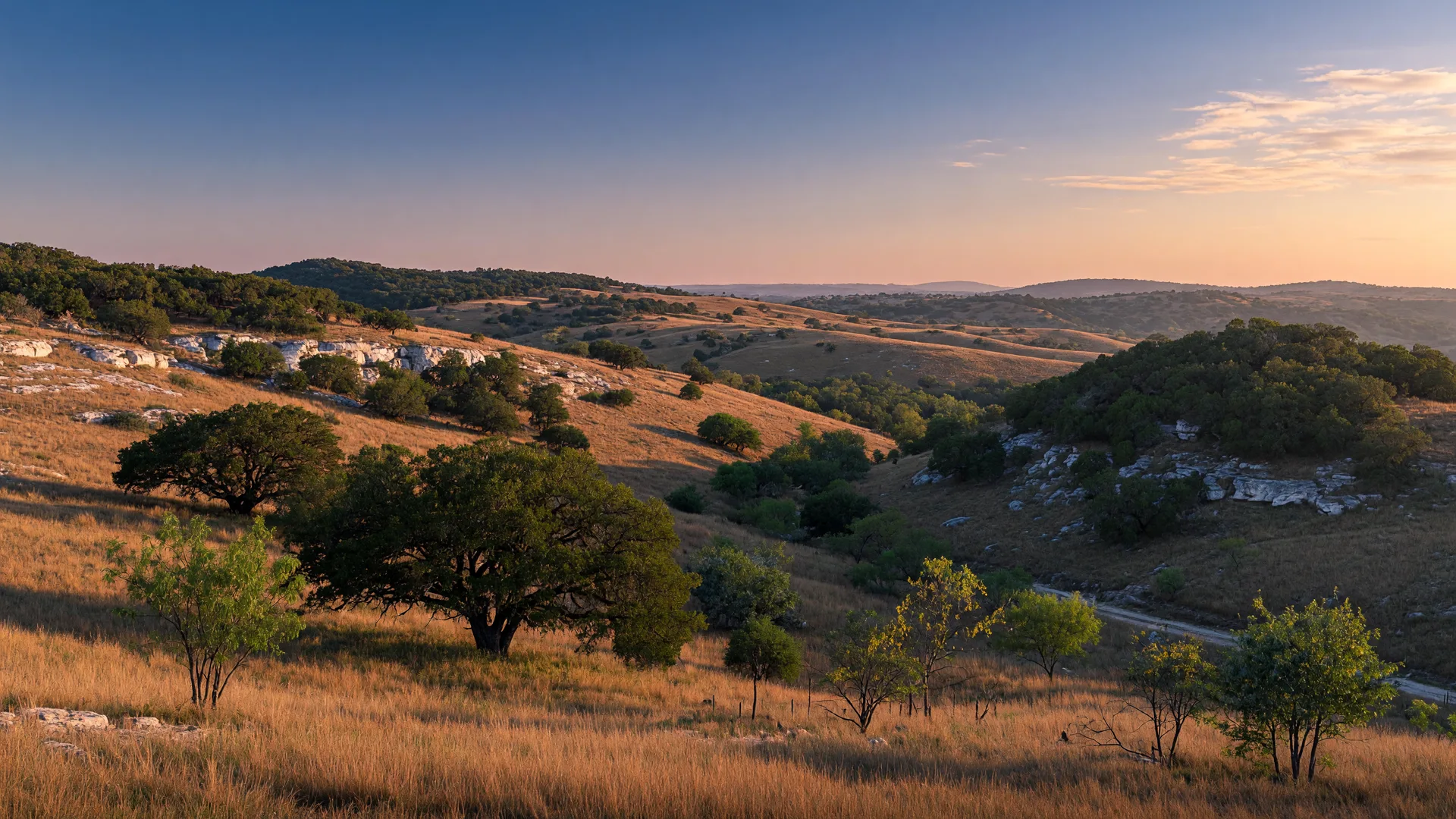 The Texas Hill Country Landscape: What California Buyers Should Know About the Land