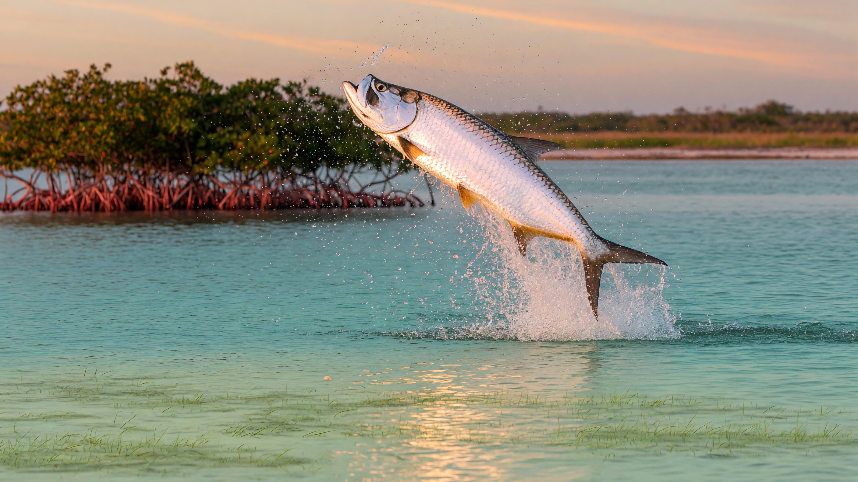 Your July 2026 Fishing & Activity Report: Hudson Beach FL