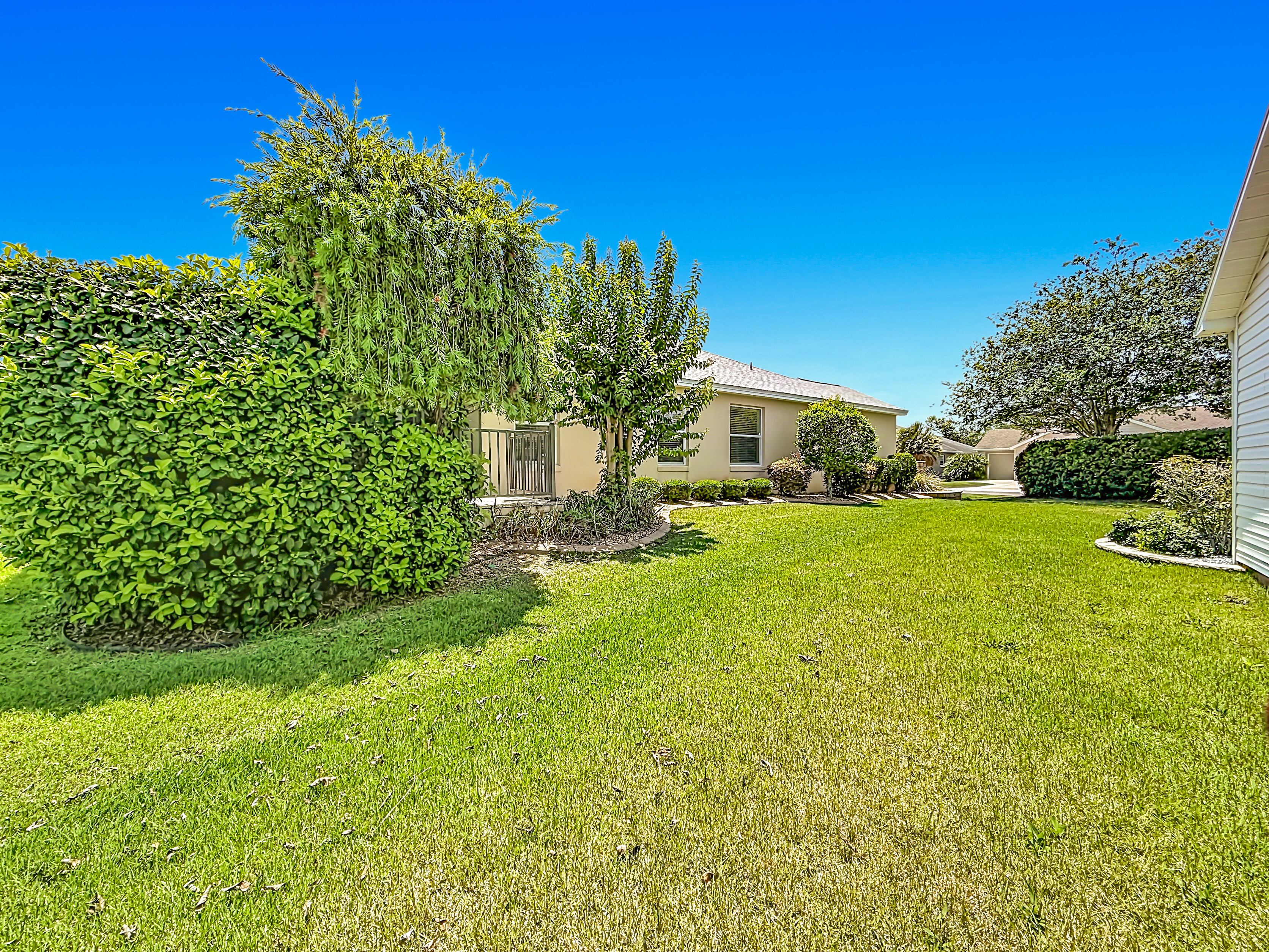 Backyard lawn with manicured grass and landscaping