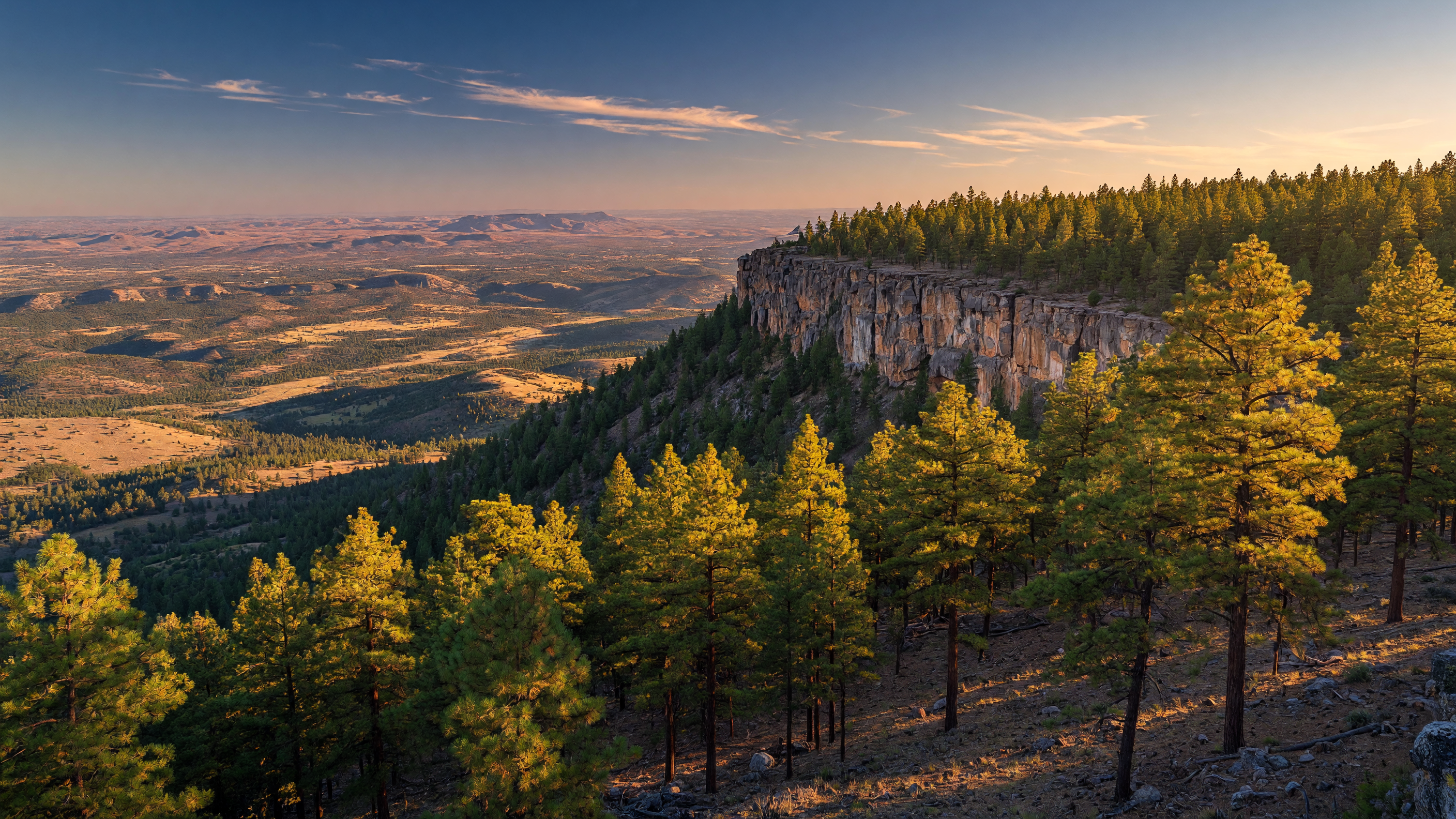 Golden hour view across the Ponderosa pine forest toward the Mogollon Rim in Arizona during summer