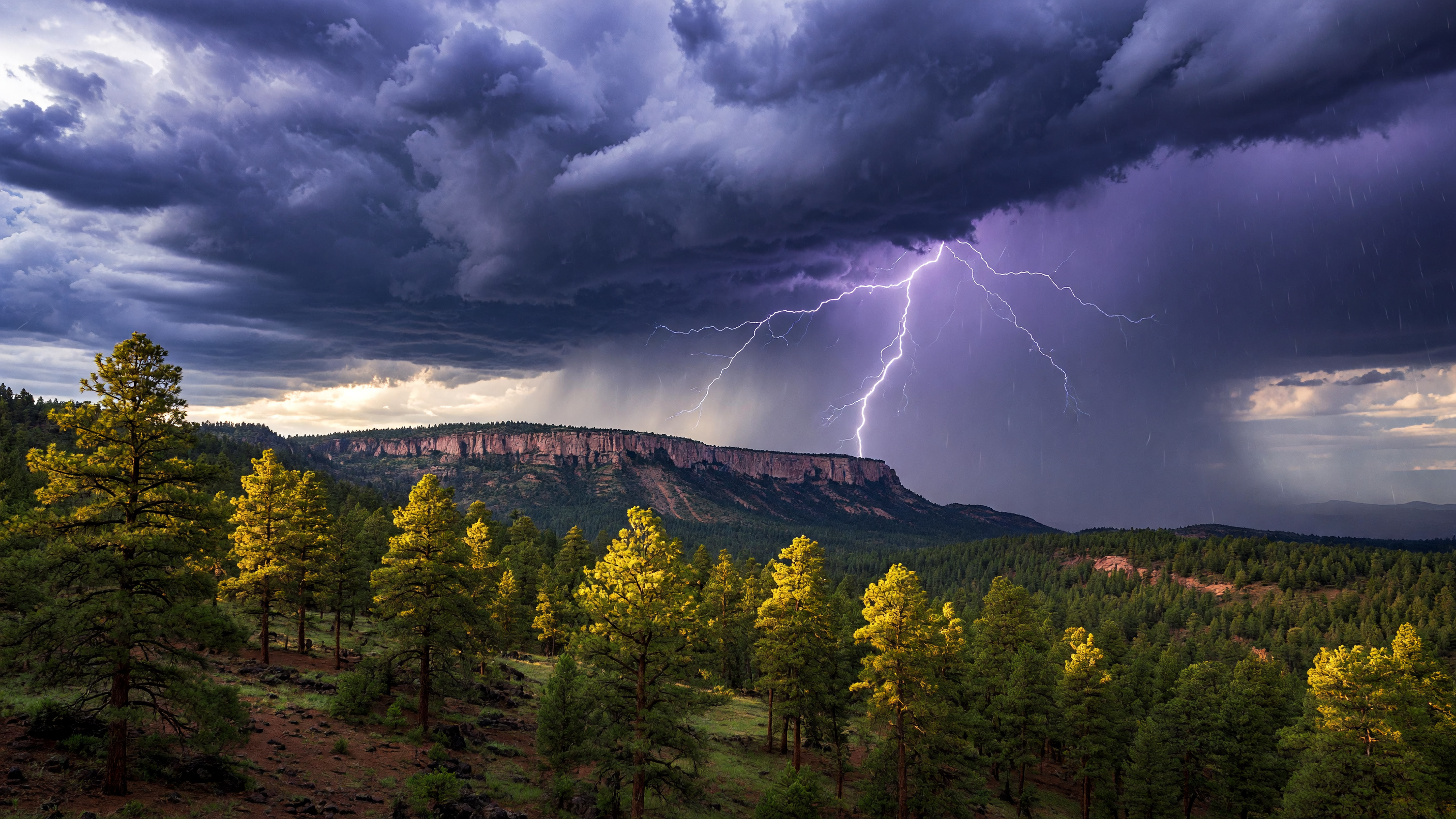 Dramatic monsoon thunderstorm clouds building over the Mogollon Rim and Ponderosa pine forest near Payson, Arizona