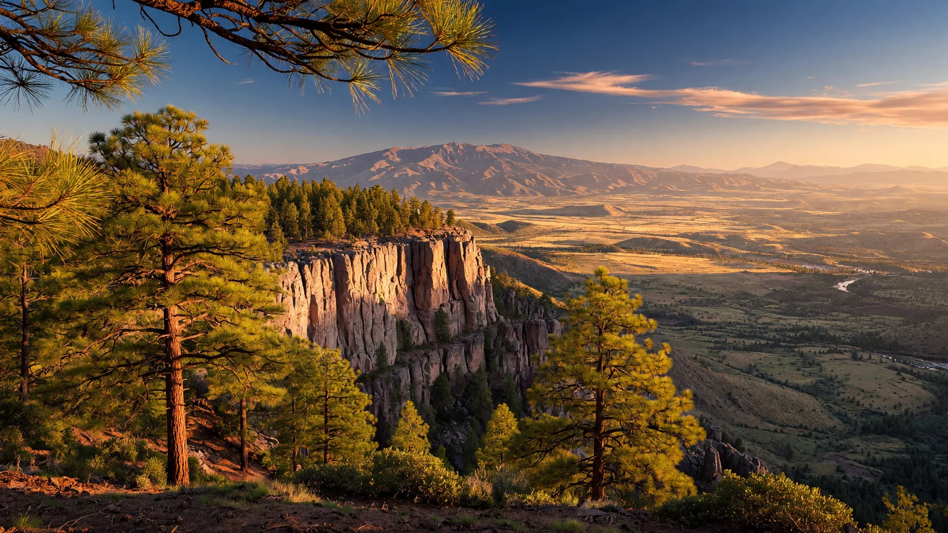 Golden hour view across the Ponderosa pine forest toward the Mogollon Rim in Arizona during summer