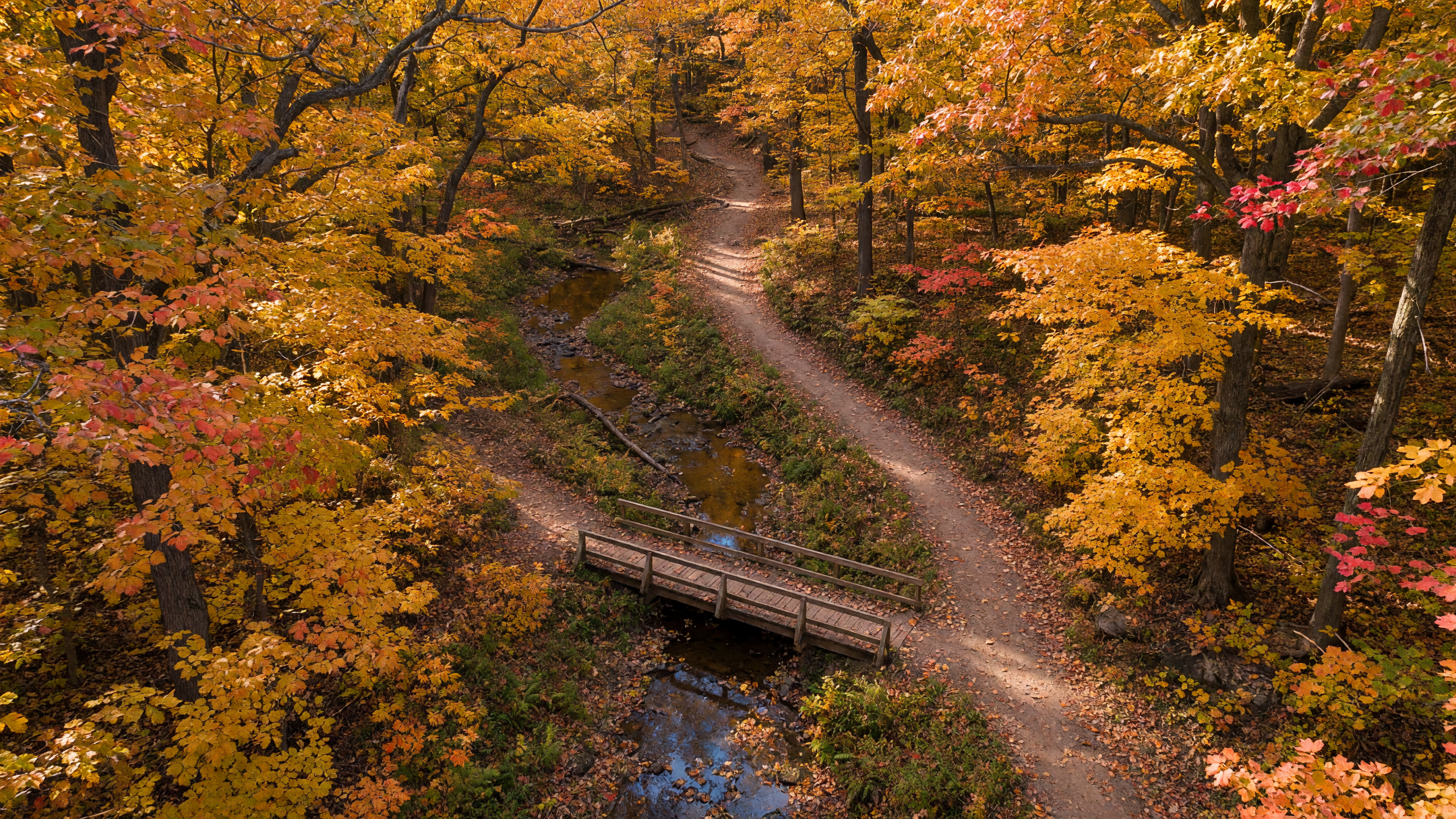 Best Parks and Outdoor Recreation in Genesee County