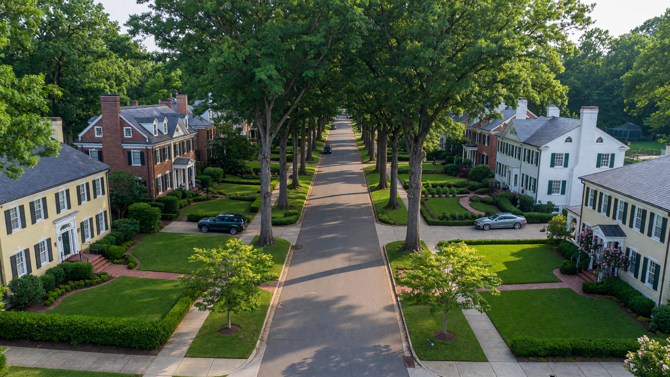 Grand tree-lined residential street in Myers Park Charlotte NC with historic homes beneath a canopy of century-old oak trees