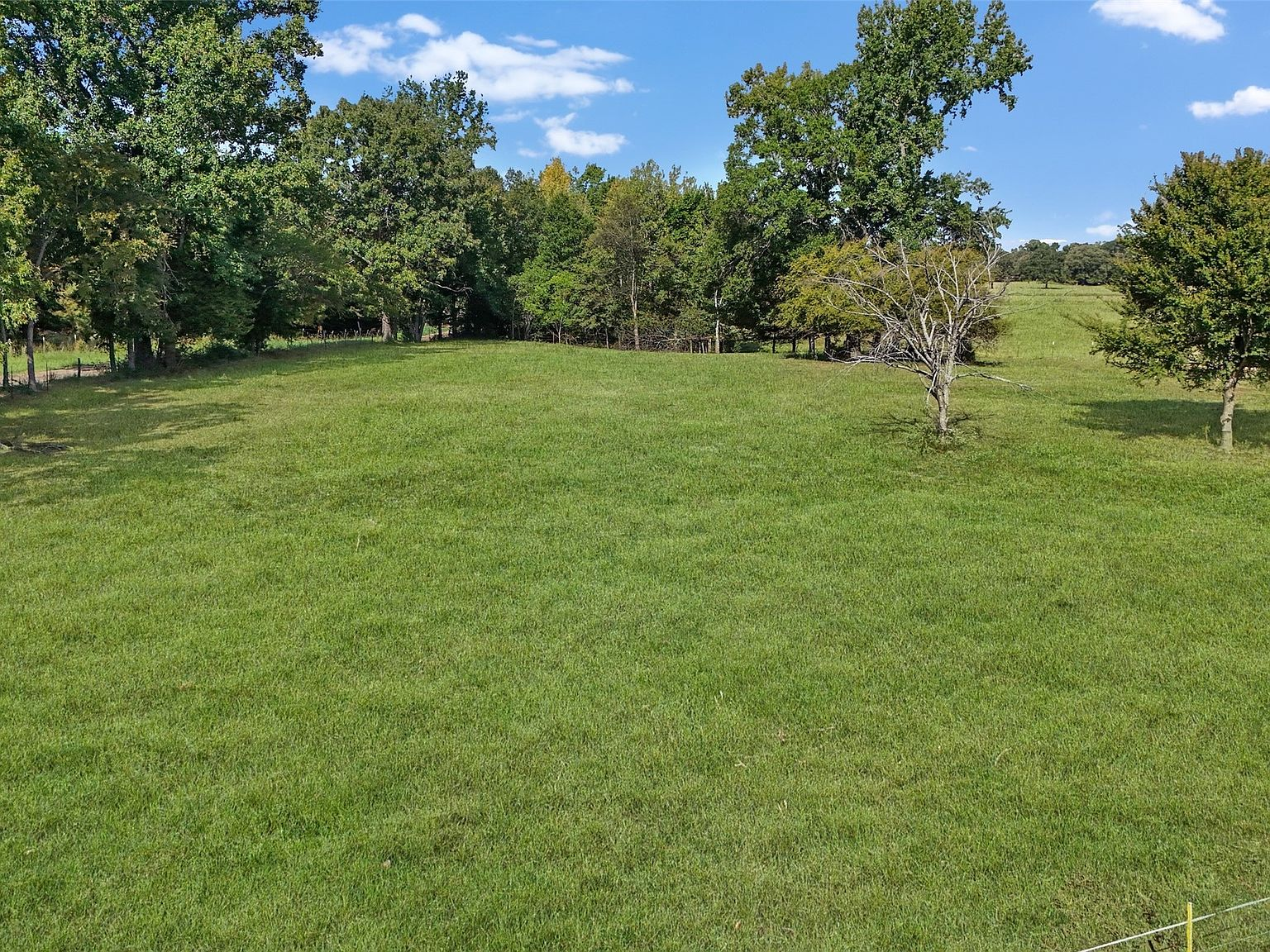 Wide-angle view of open pasture and mature treeline