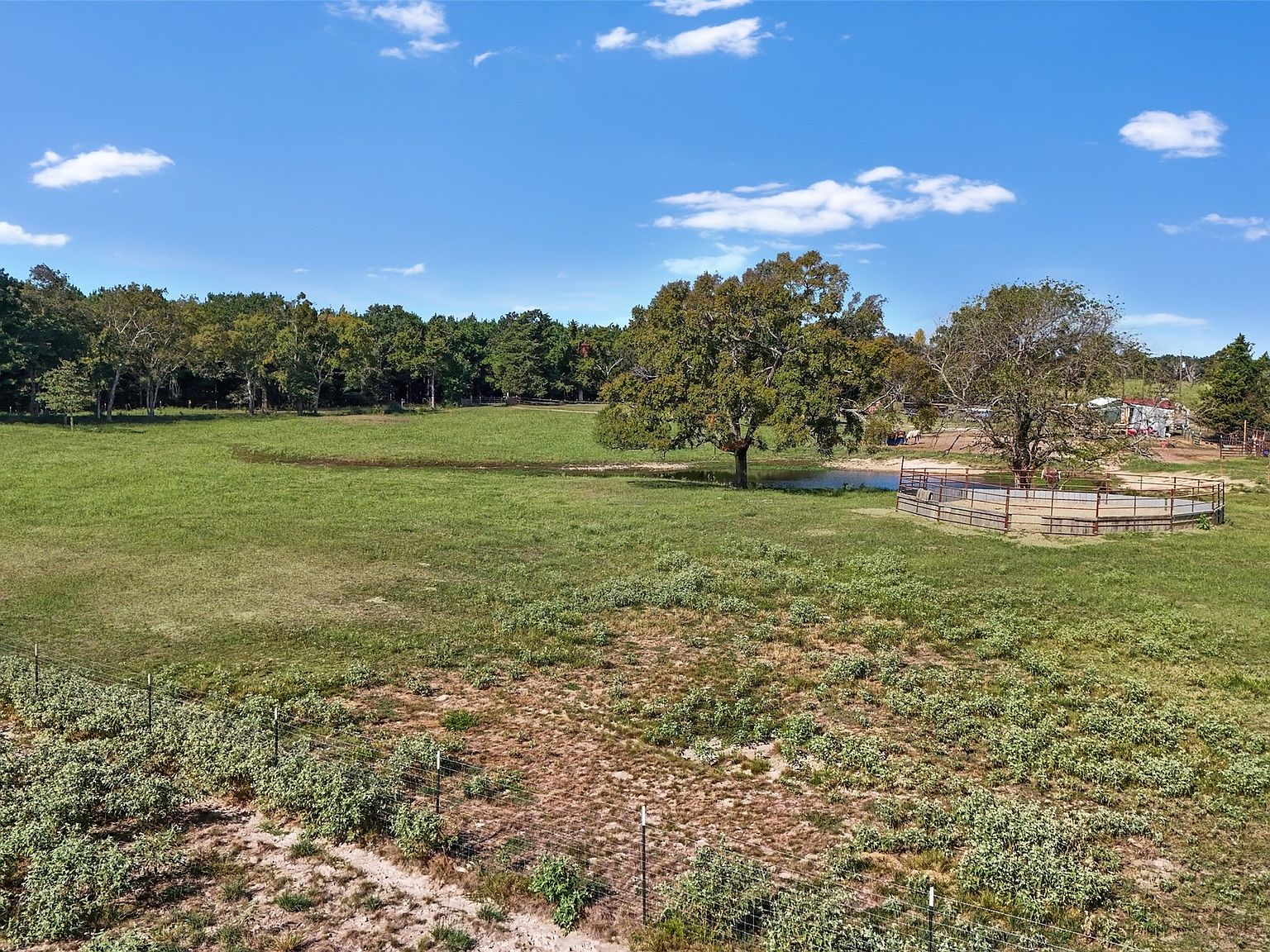 Open pasture with scattered oak trees and horse round pen