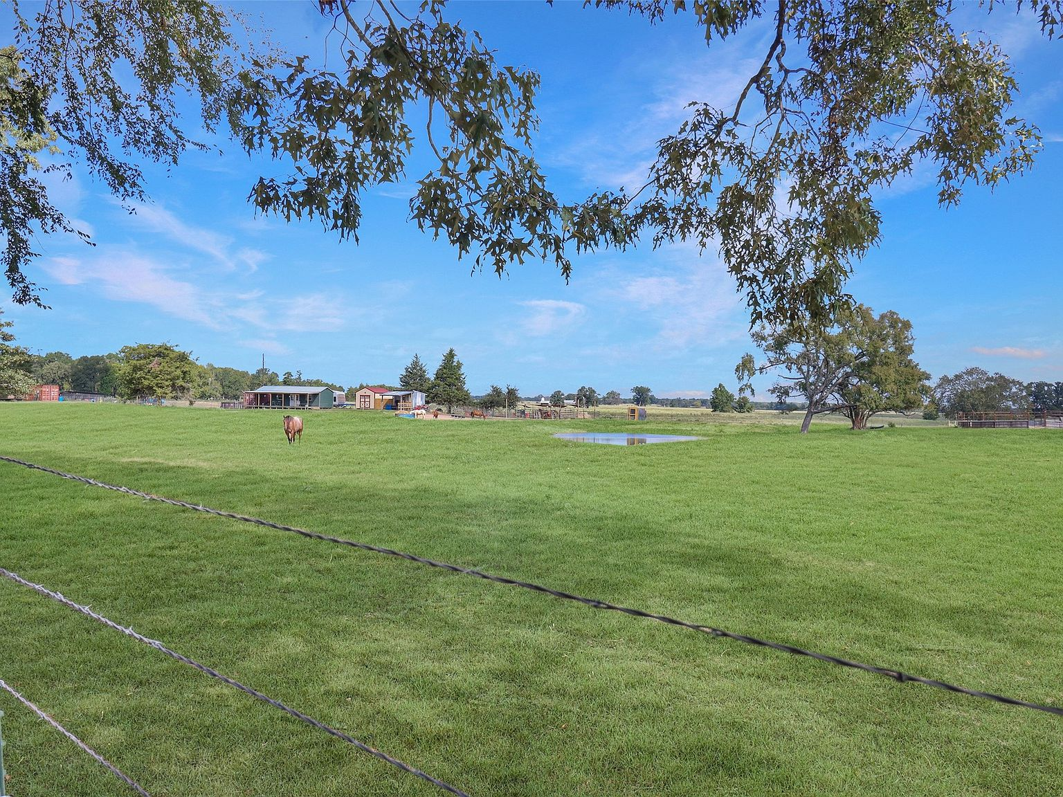 Pasture land with small pond and perimeter fencing