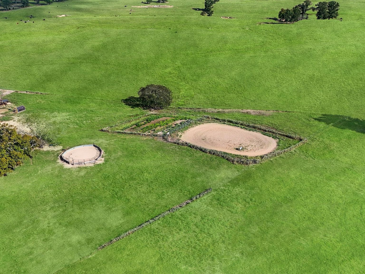 Overhead drone shot of training arenas and green pastures