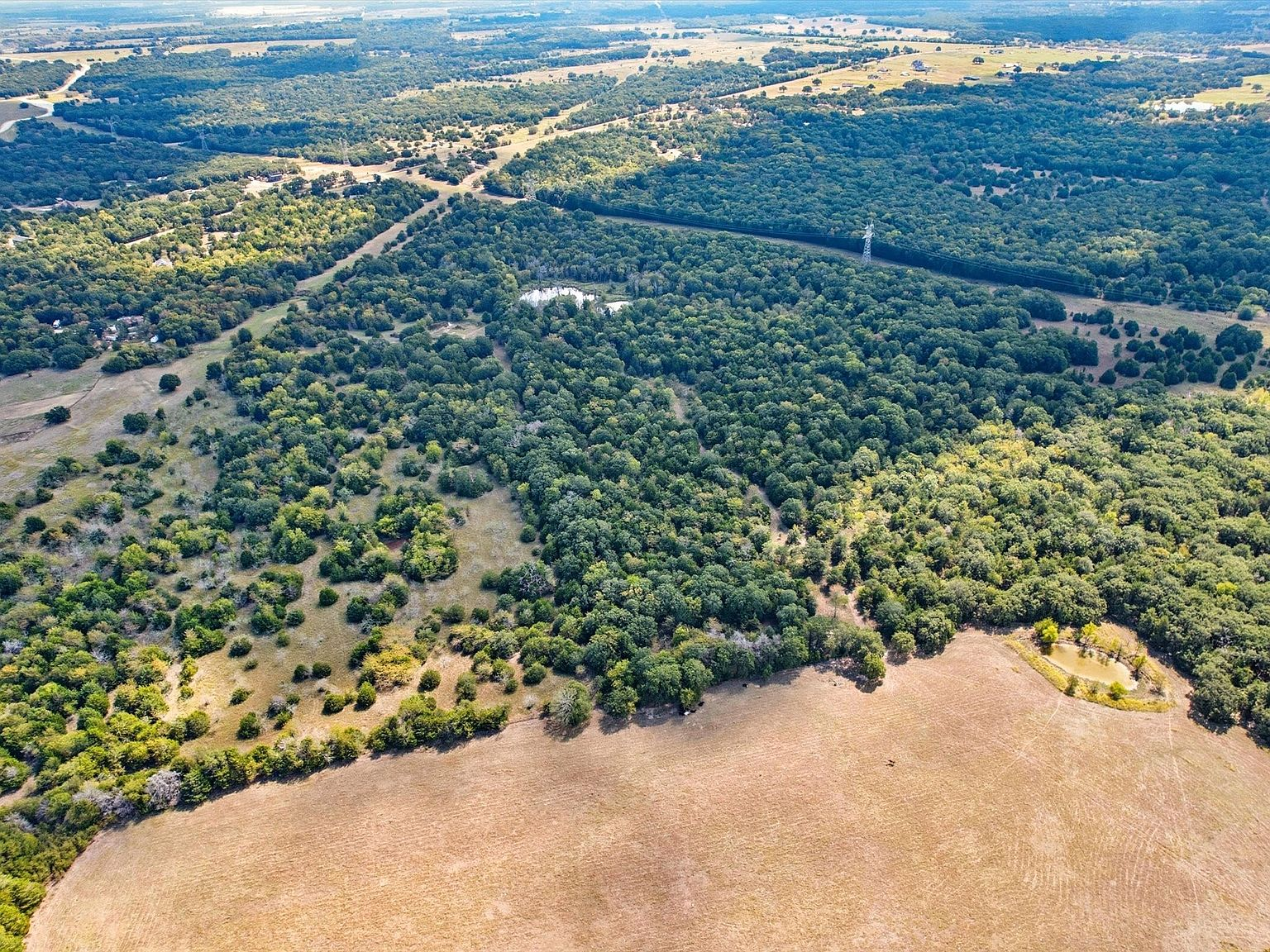 49-acre pastureland property in Terrell, Texas