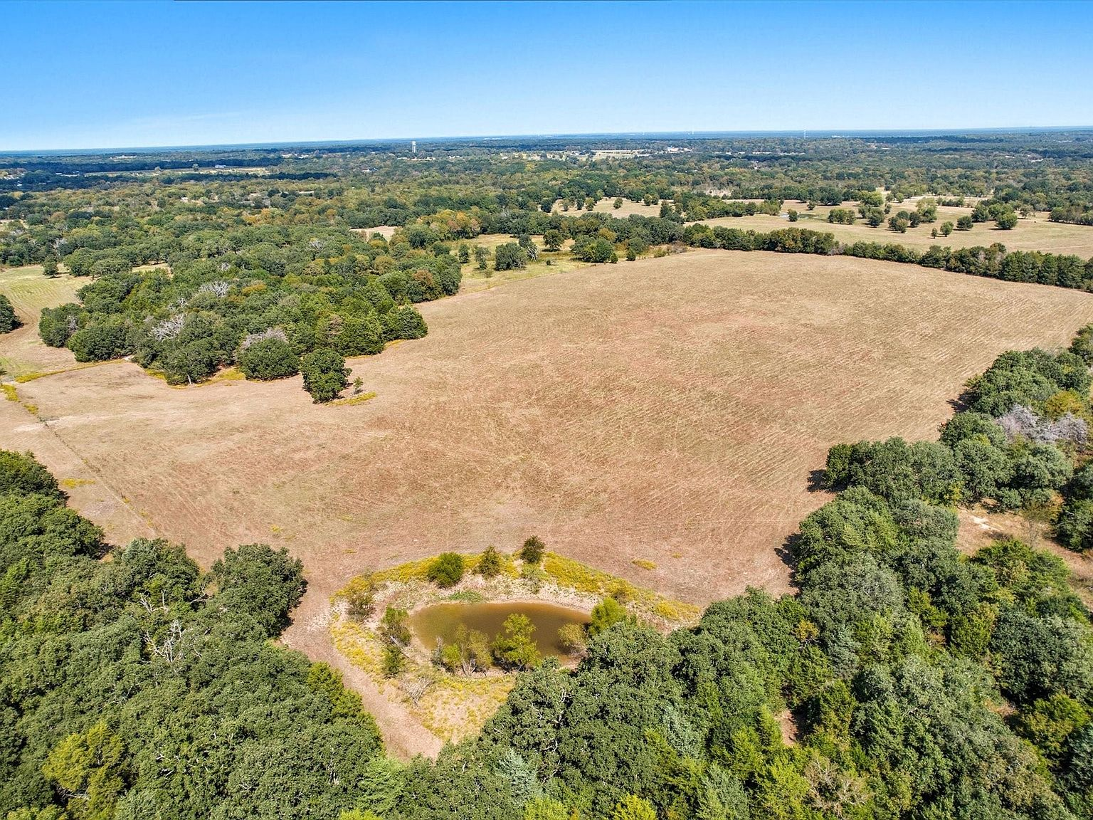 Expansive 68-acre pasture in Terrell, Texas