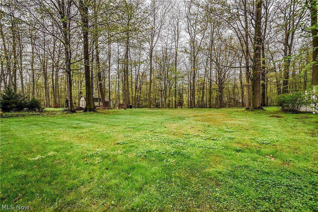 Expansive grassy backyard bordered by dense mature forest