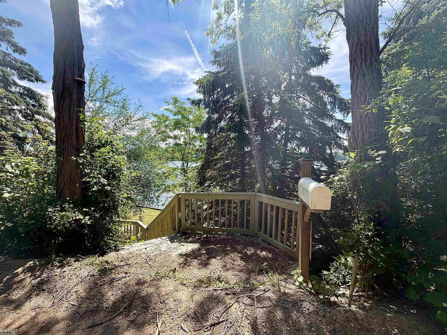 Wooded pathway with pine trees leading to the lakefront staircase