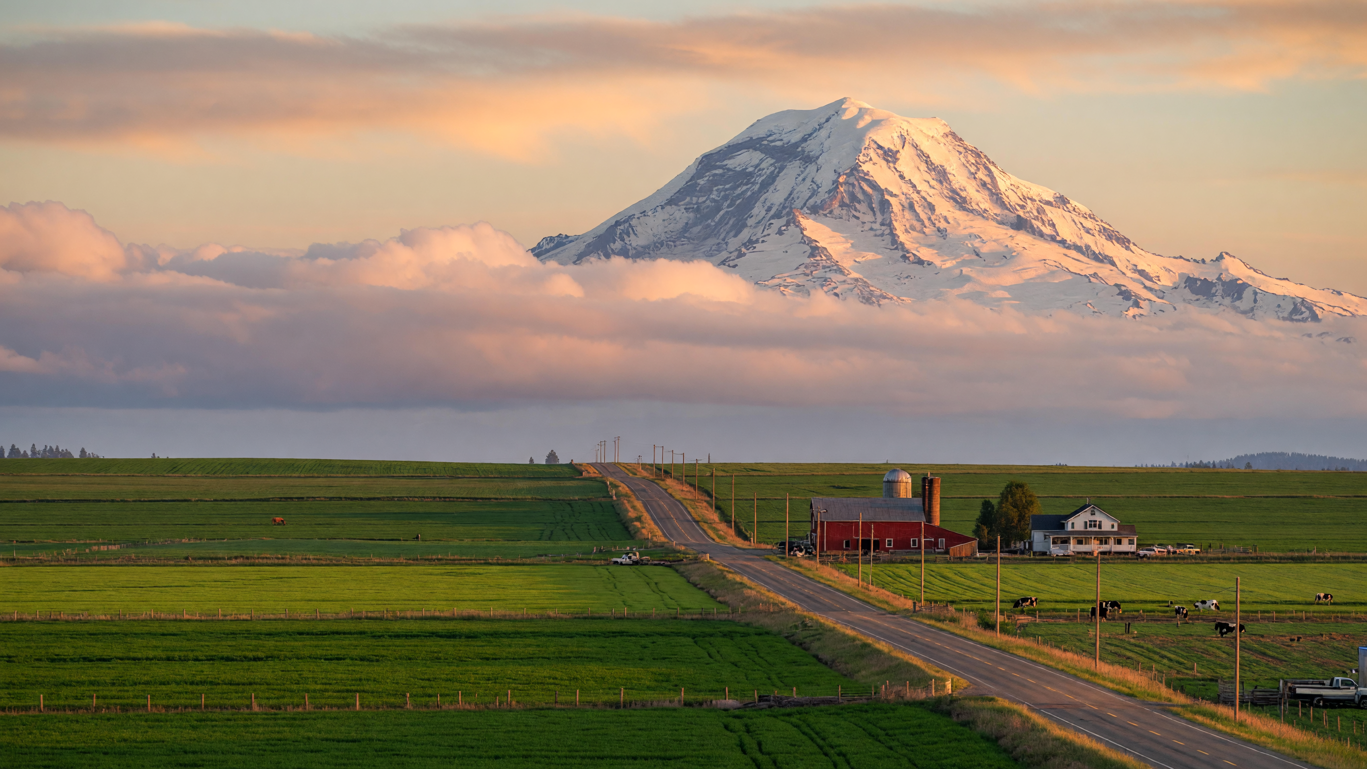 Mount Rainier seen across green farmland in Lewis County, Washington